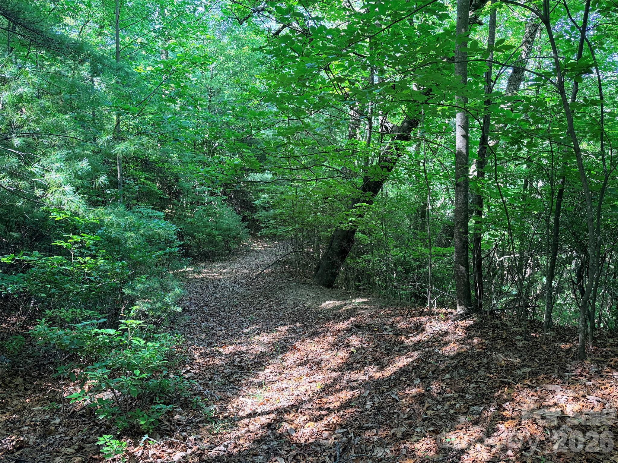 Buck Mountain - Land