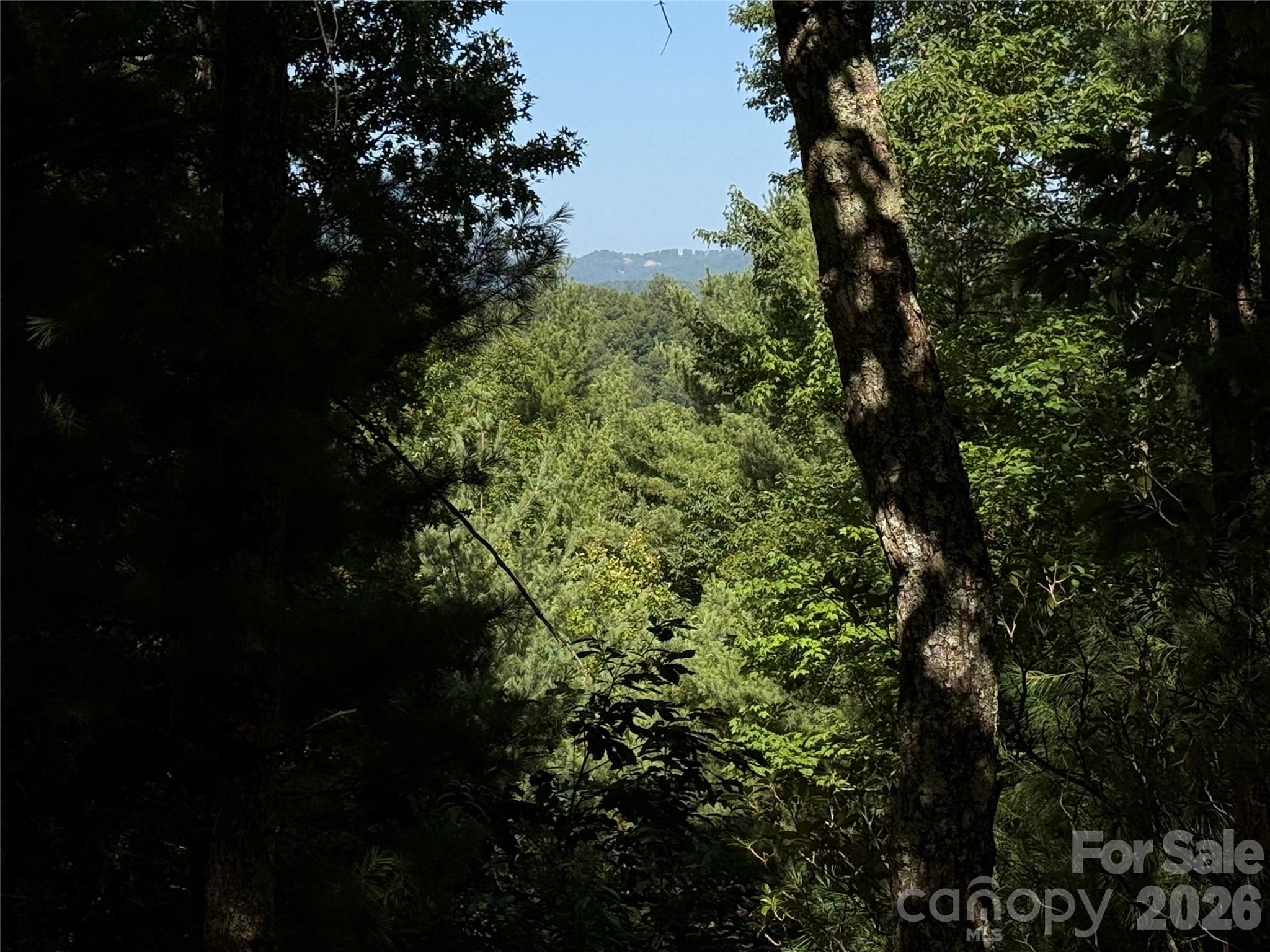 Buck Mountain - Land