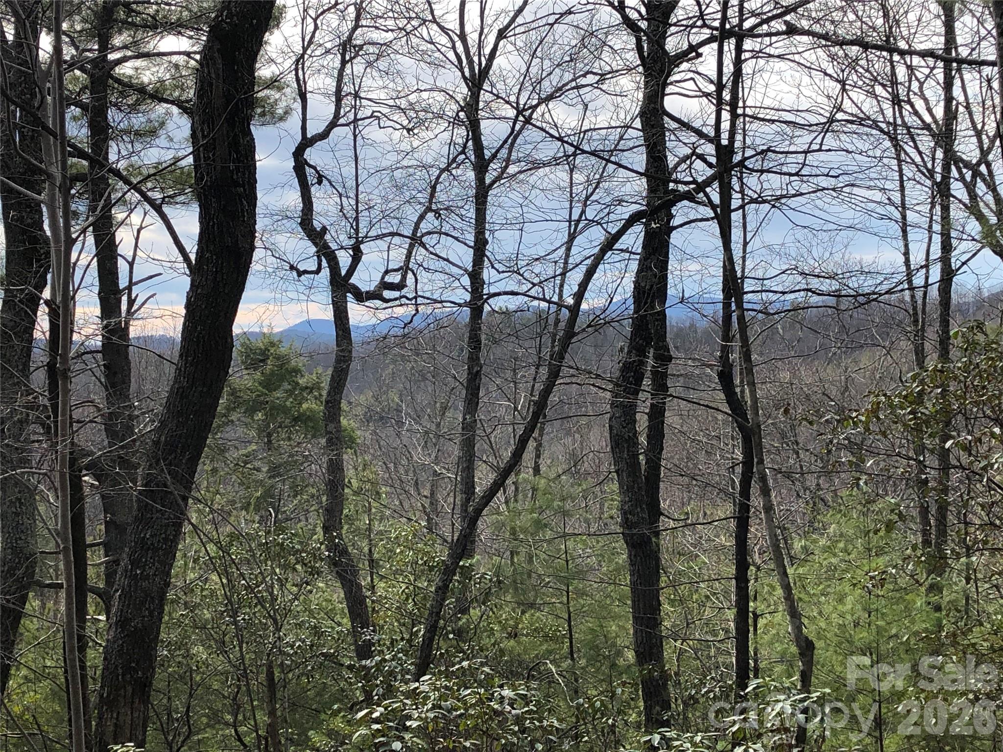 Buck Mountain - Land