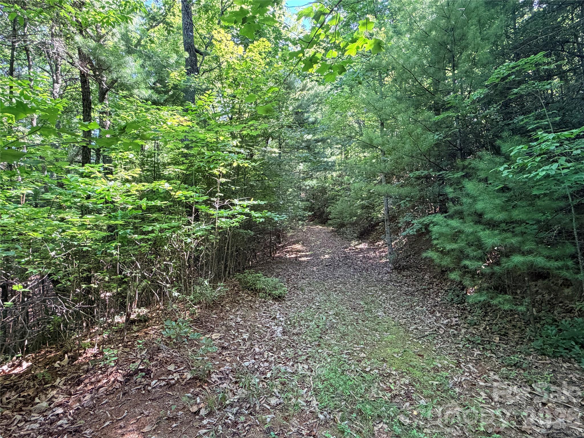 Buck Mountain - Land