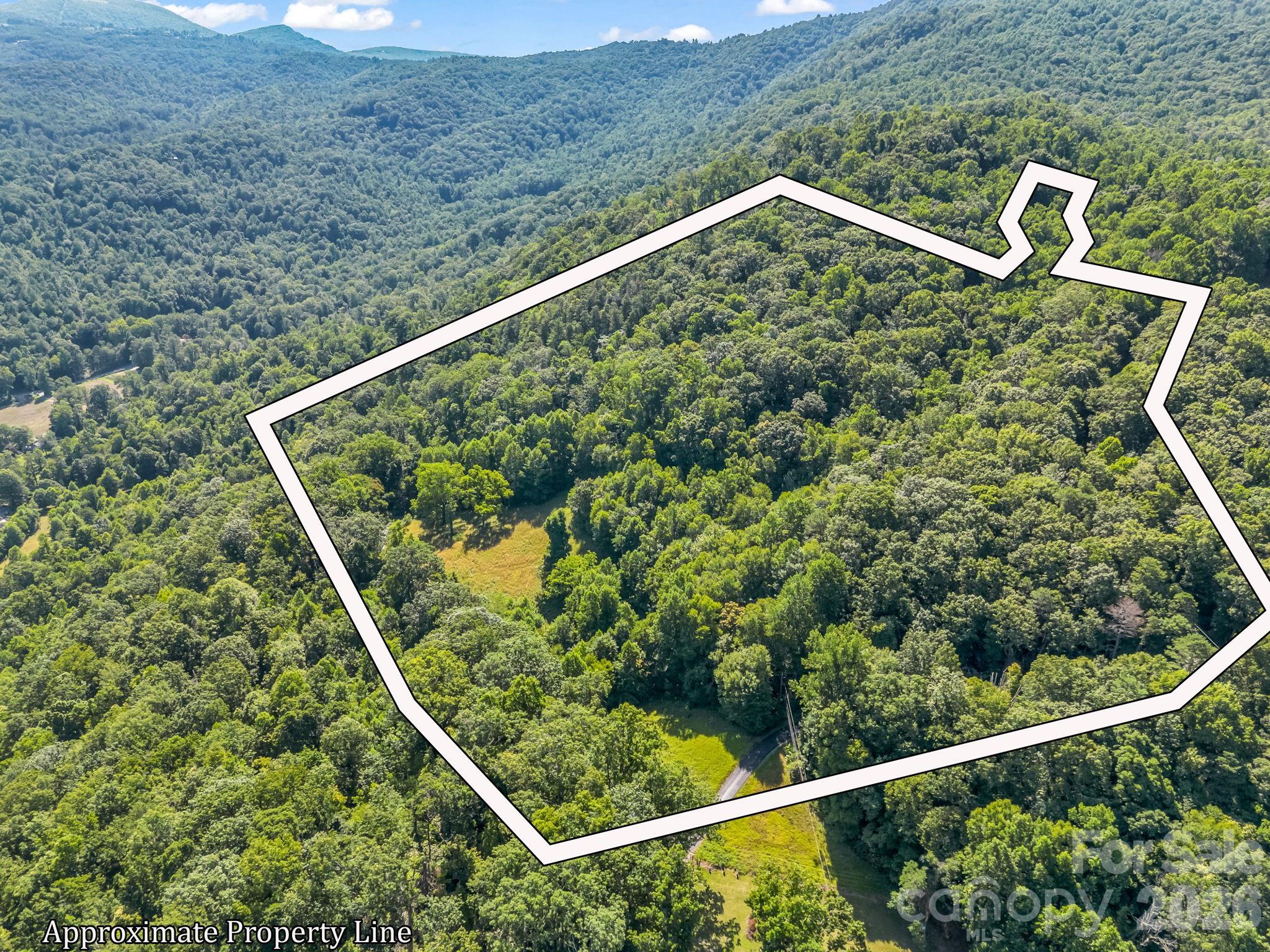 Discover the possibilities with this beautiful 15.63-acre property offering the perfect blend of privacy, convenience, and natural beauty. Multiple potential building sites provide flexibility to create your dream home, family estate, or mountain retreat. Some building sites have already been cleared and are ready for your vision, while others remain nestled among mature trees, allowing you to choose the setting that best suits your lifestyle. A well is already installed, and a spring on the property adds to its appeal.

The access road is in place and mostly paved, making it easy to explore and access the various building locations. With selective tree clearing, you can open up stunning long-range mountain views and take full advantage of the property's natural setting. Tucked away in a peaceful, secluded environment, this exceptional parcel offers the feeling of being miles from it all while remaining conveniently located between Hendersonville and Asheville, providing easy access to shopping, dining, healthcare, and outdoor recreation. Whether you're looking to build now or invest for the future, this is a rare opportunity to own a truly special piece of Western North Carolina.  Owner financing available!