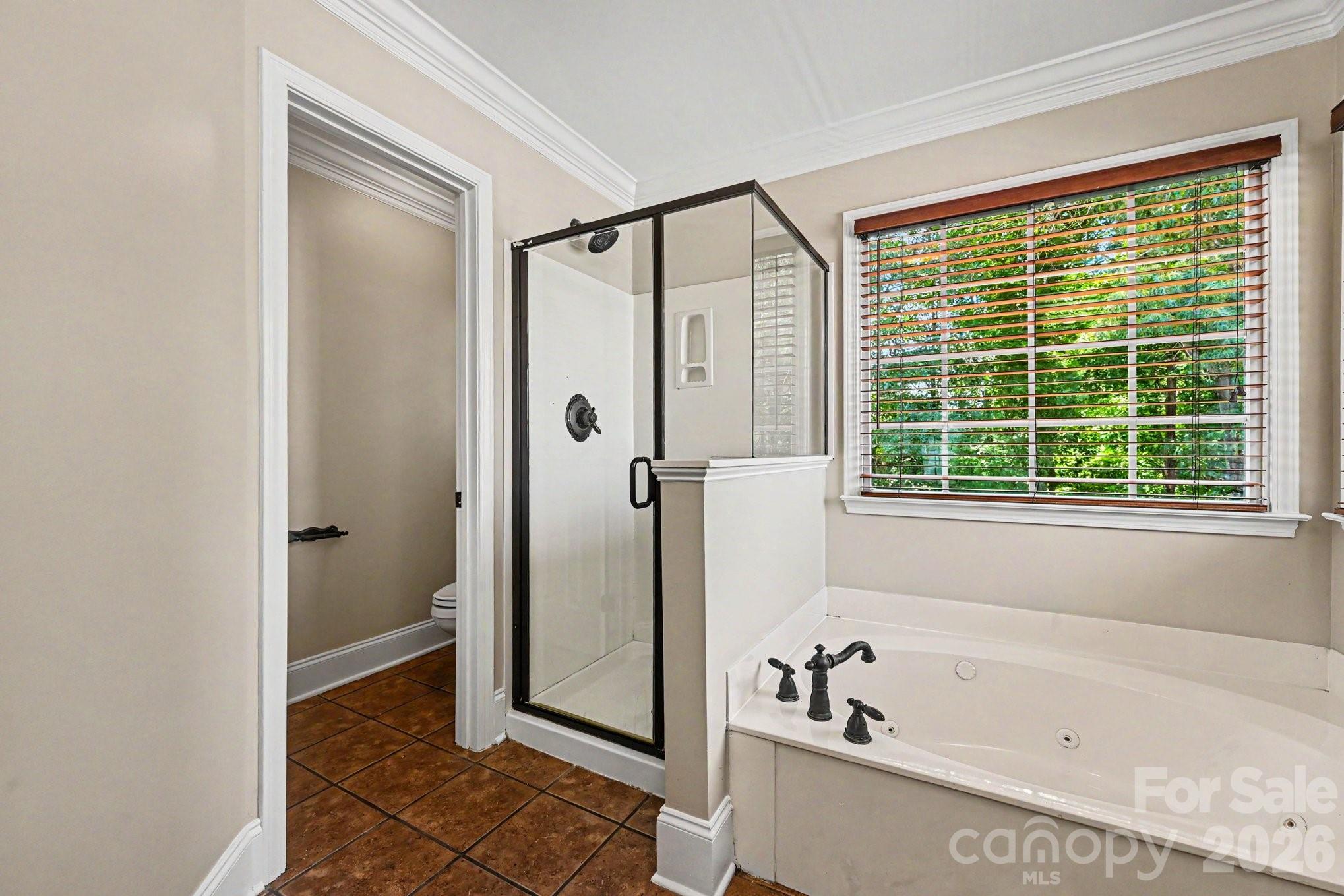 Olde Sycamore - Residential
