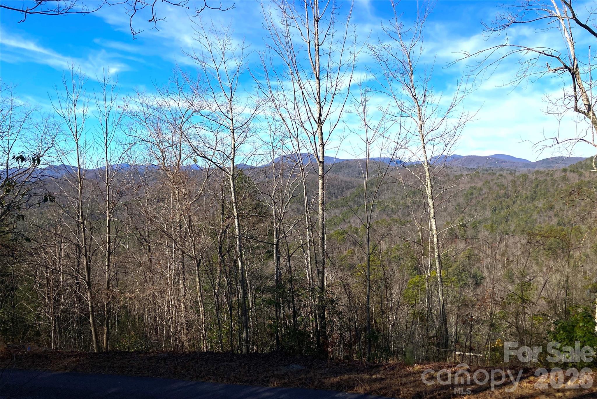 Nestled amidst the mountains of Transylvania County, this Ridge Haven lot is just over one acre, but the long range views will make you feel like you own the forest.  It's a perfect sloping lot for a home with a walk-out basement and a wide back porch where you'll bathe in golden sunsets that light the sky in a blaze of crimson and amber. This affordable rural haven invites you to craft your ultimate dream home or secluded retreat, enveloped in crisp, invigorating air, far from the clamor of urban life. Elevate your senses with long-range panoramic views that stretch endlessly to the horizon and a canopy of stars unmarred by light pollution. Your private retreat is just minutes from historic downtown Brevard, Gorges State Park, Pisgah Forest, and hundreds of waterfalls. First time on the market in nearly 40 years...and very attractively priced!