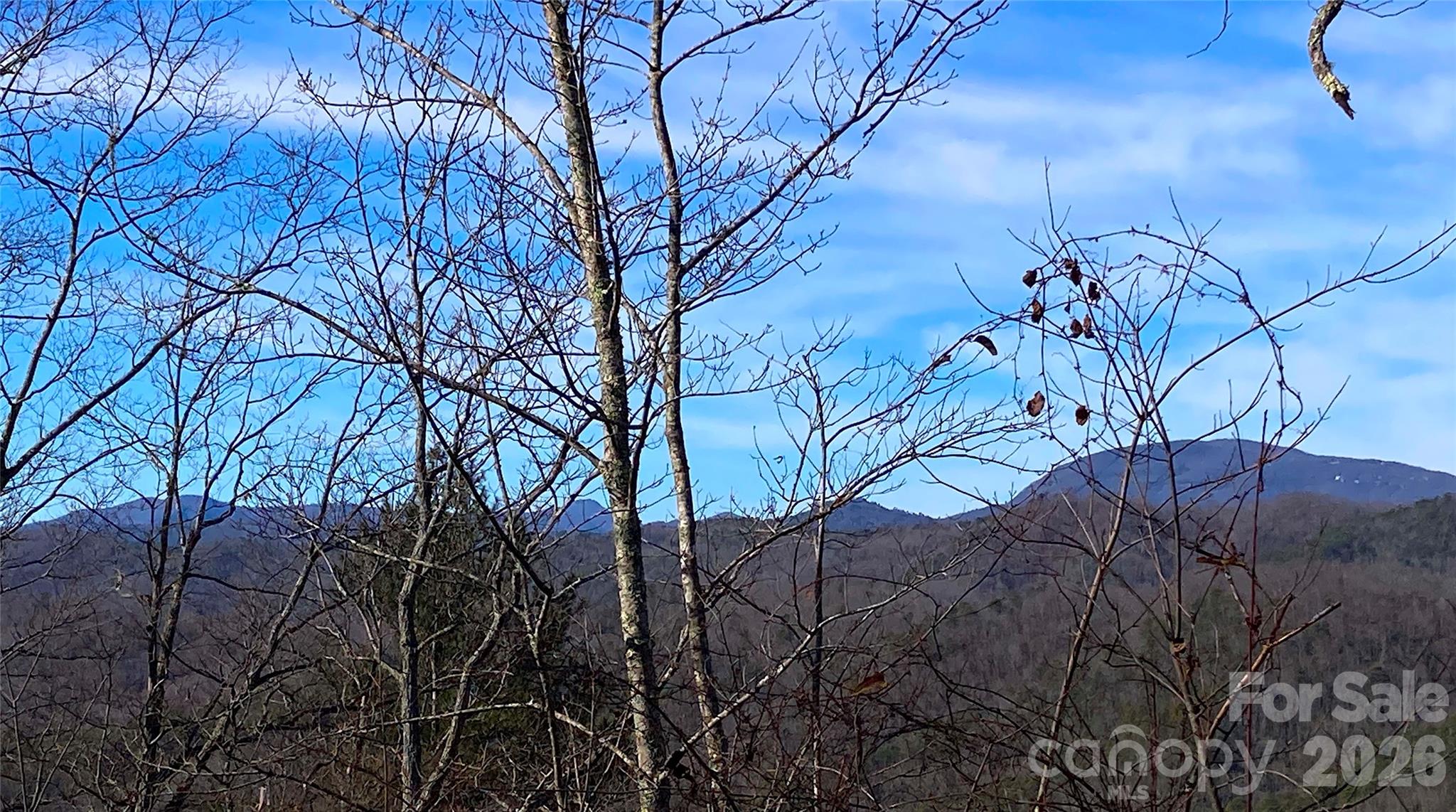 Ridge Haven - Land