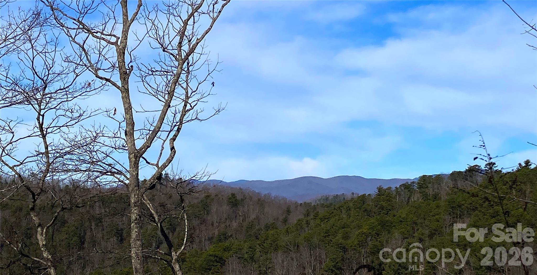 Ridge Haven - Land