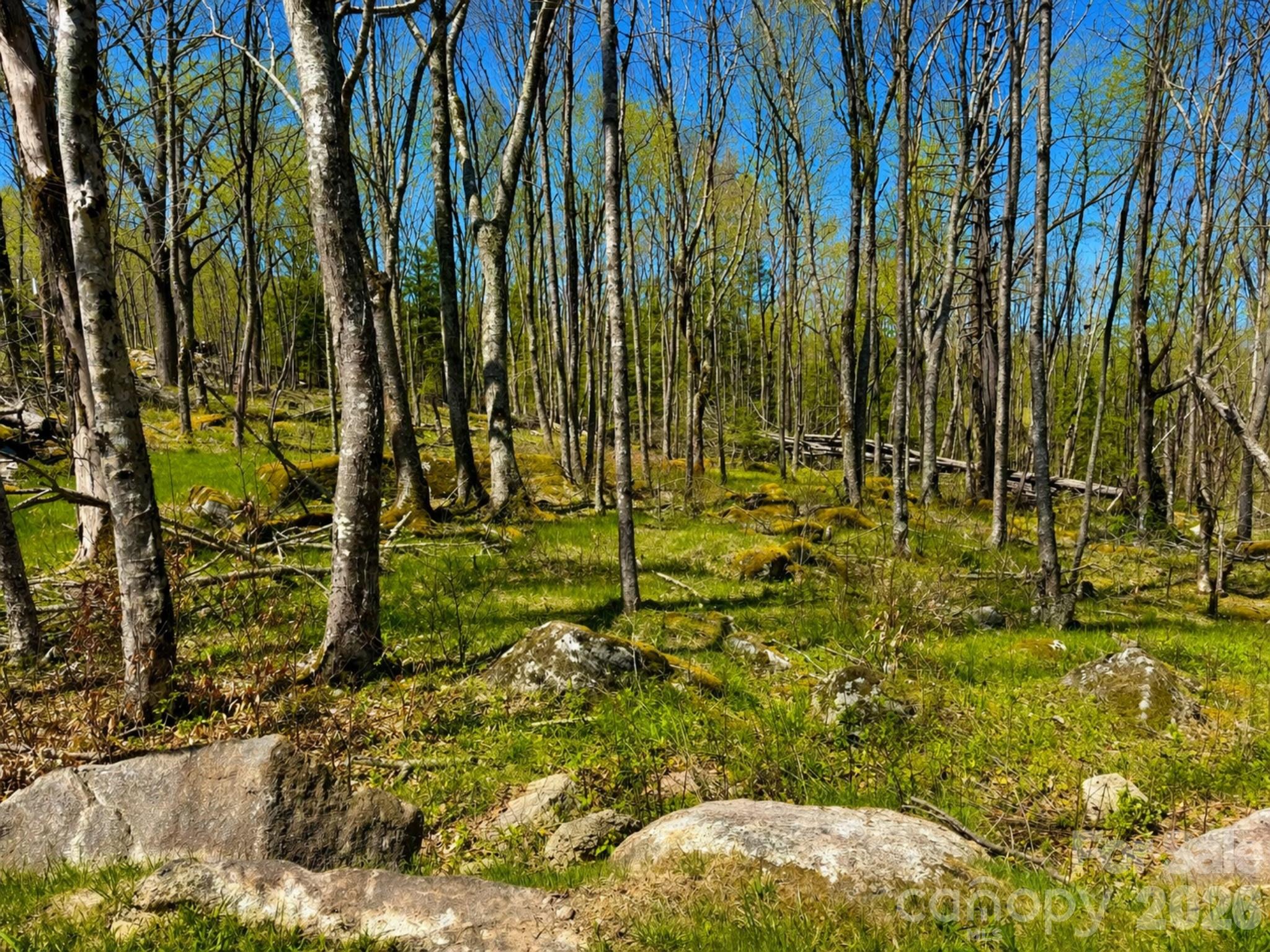The Lodges at Eagles Nest - Land