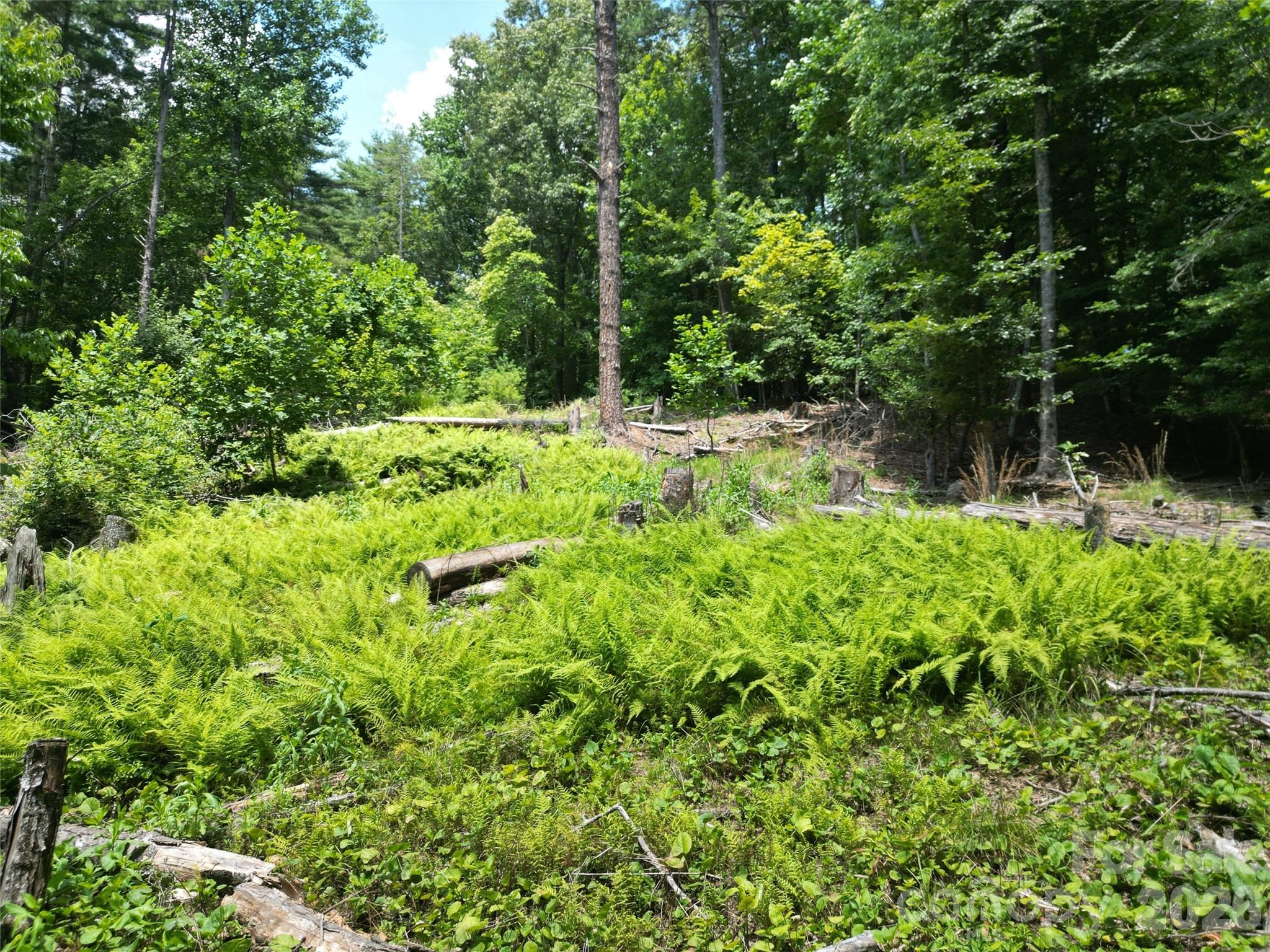 Hidden Valley - Land