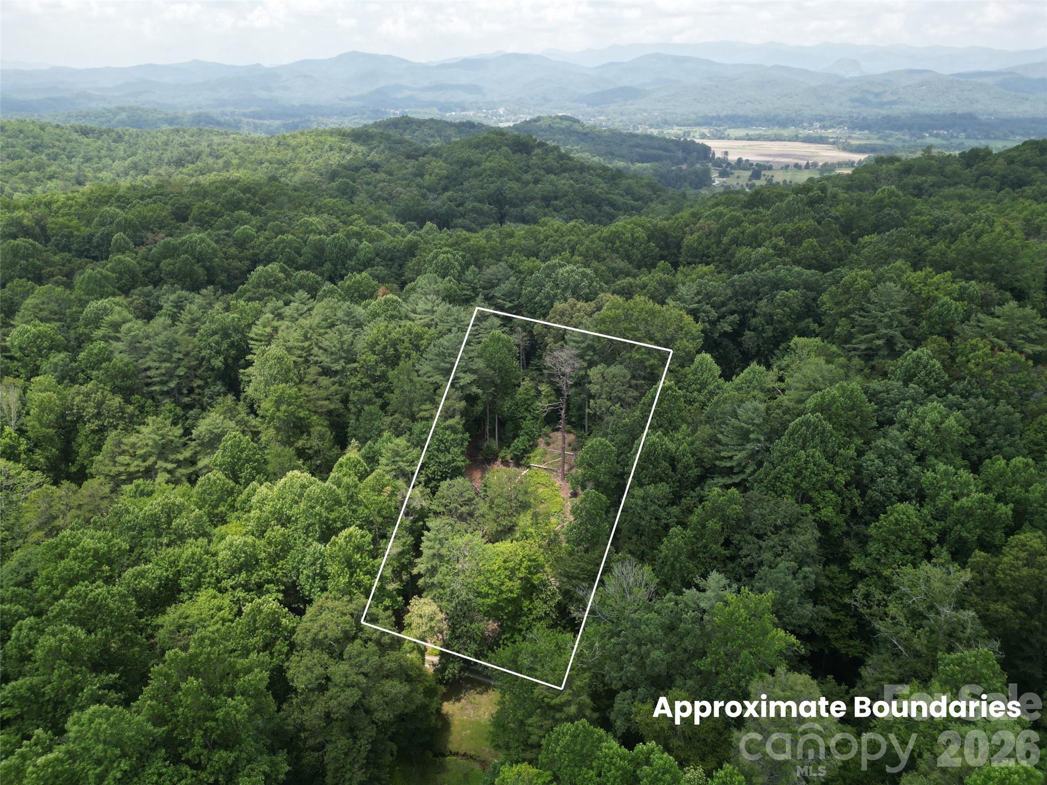 Build your dream home in one of Pisgah Forest's most sought-after locations. Nestled in the peaceful Williamson Creek area, this beautiful homesite offers the perfect balance of privacy, convenience, and natural beauty. With a permitted septic system already approved, much of the uncertainty and expense of the early building process has already been addressed, allowing you to focus on designing the home you've envisioned.

Surrounded by mature hardwoods and native ferns, the property provides a tranquil mountain setting with plenty of room to create your ideal retreat while maintaining the character and privacy that make this area so desirable.

Located just off Wilson Road, you'll enjoy quick access to everything that makes Transylvania County special. Spend your weekends exploring Pisgah National Forest, mountain biking and hiking world-renowned trails, fishing nearby rivers and streams, or enjoying the vibrant shops, restaurants, and breweries of downtown Brevard. Everyday conveniences including grocery stores, healthcare, schools, and local dining are all just minutes away, making this an exceptional location for both full-time living and a mountain getaway.

Opportunities to build in the Williamson Creek community are becoming increasingly rare. If you've been searching for a property that combines a premier location, natural beauty, and valuable site preparation already in place, 319 Valley Lane is ready for your vision to become reality.