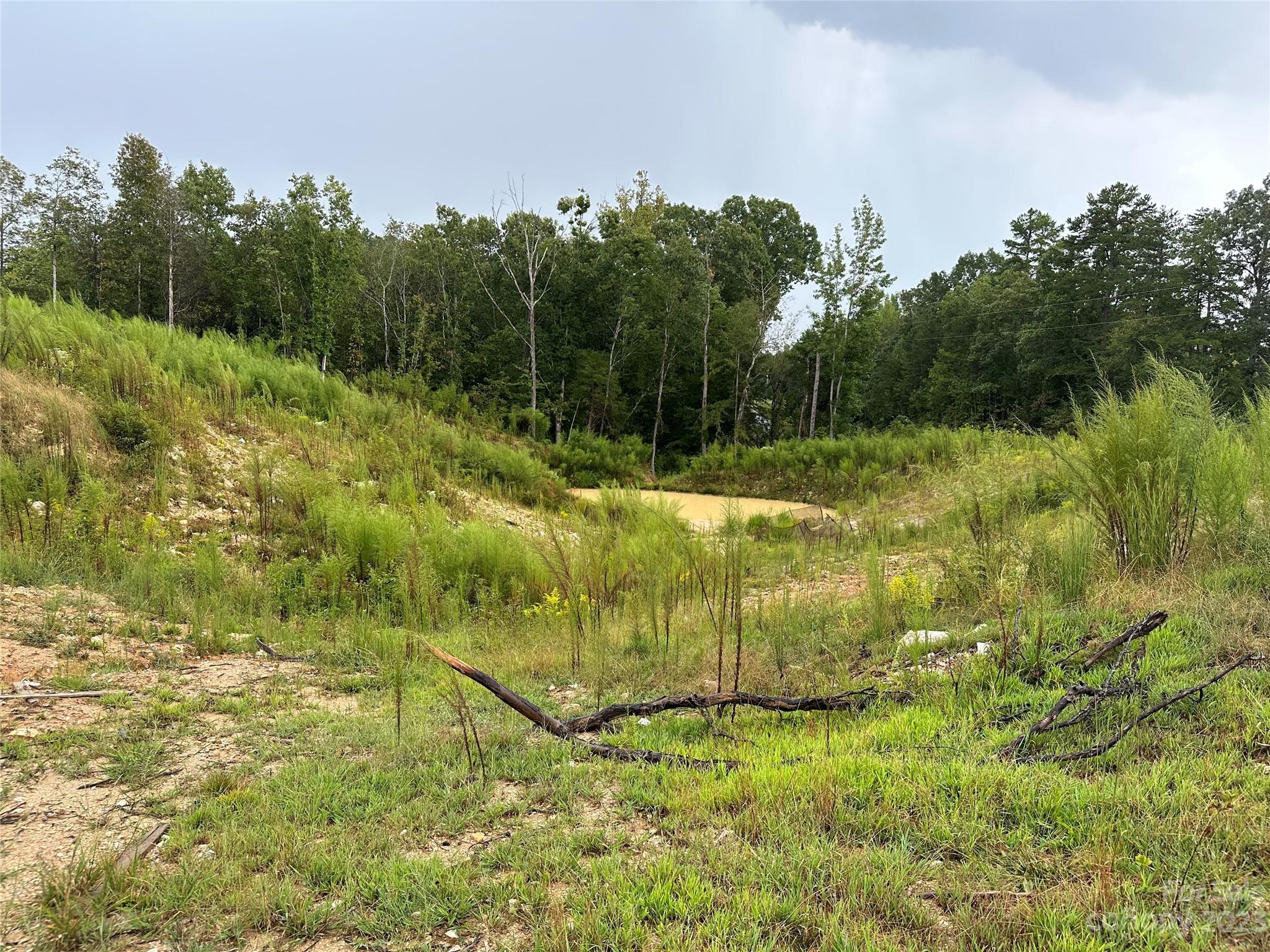 7 Acres ready for you!! This is zoned rural and front 3 acres are mostly clear while the remaining land is wooded. A possible pond on site as well. This is priced to sell! Take your client's to walk this beautiful property located about 45 minutes away from Rock Hill/Charlotte area. No known restrictions.