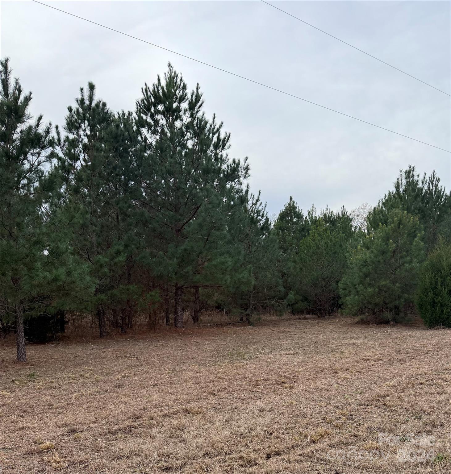 'Do Not Miss Your Chance to Own a Piece of Heaven". This serene 1.75 +/- property offers privacy and no restrictions!  Just minutes to Bennettsville with access to electric power along your road frontage.  Offers endless possibilities whether you want to place a New Manufactured Home, Camper or Stick-Built home on it or just be one with nature.  Well/Septic are Buyer responsibility.