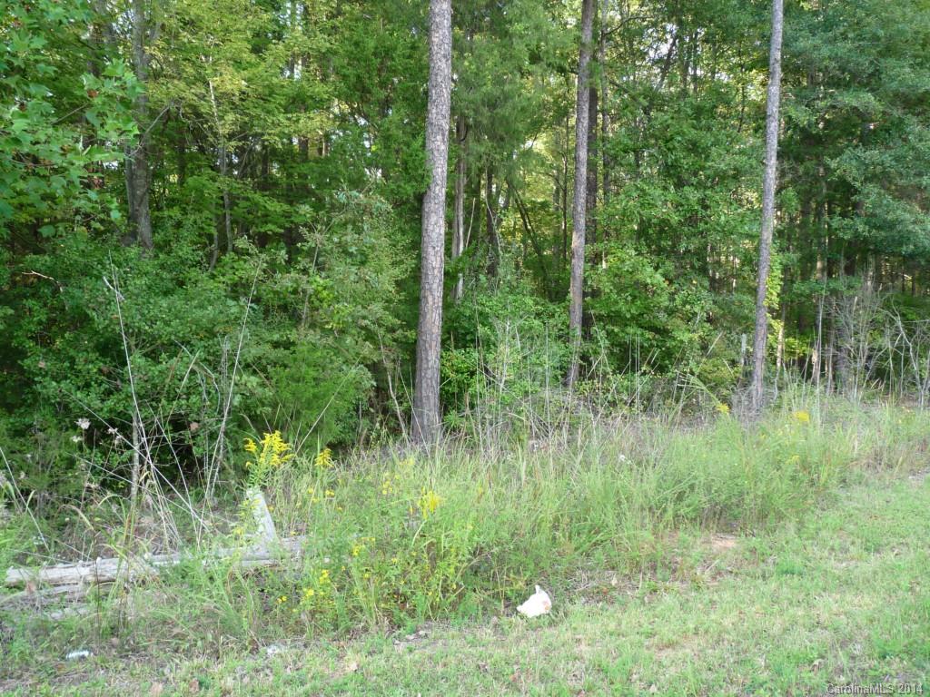 Back on the market, with a new survey and ready for you to come build your dream home, over 1 acre of wooded land on paved road, just off Hwy 521 behind Indian Land High School, enjoy the convenience being right in the heart of Indian Land and close to major intersections such as I-77, 485.