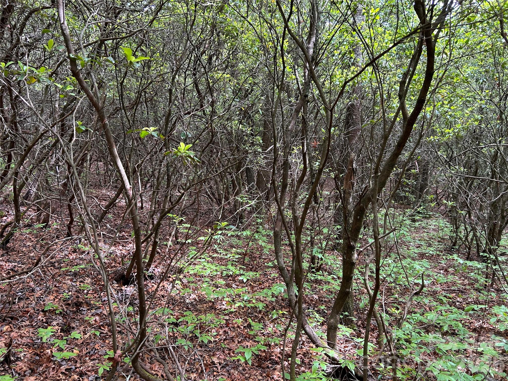 Lake Toxaway Estates - Land