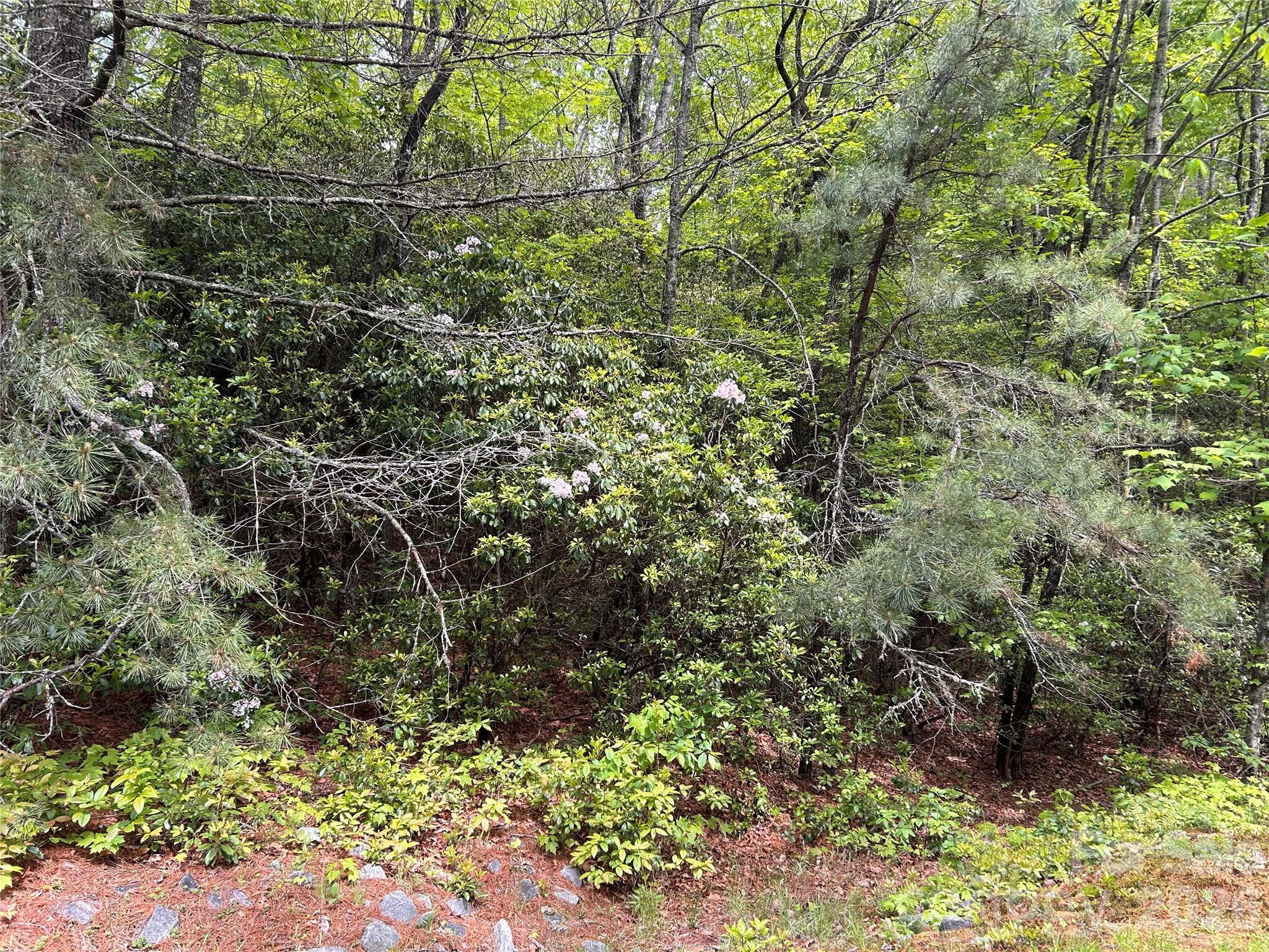Lake Toxaway Estates - Land