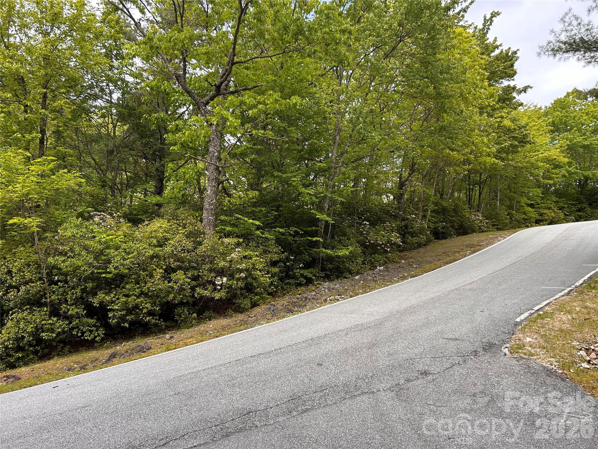 Lake Toxaway Estates - Land