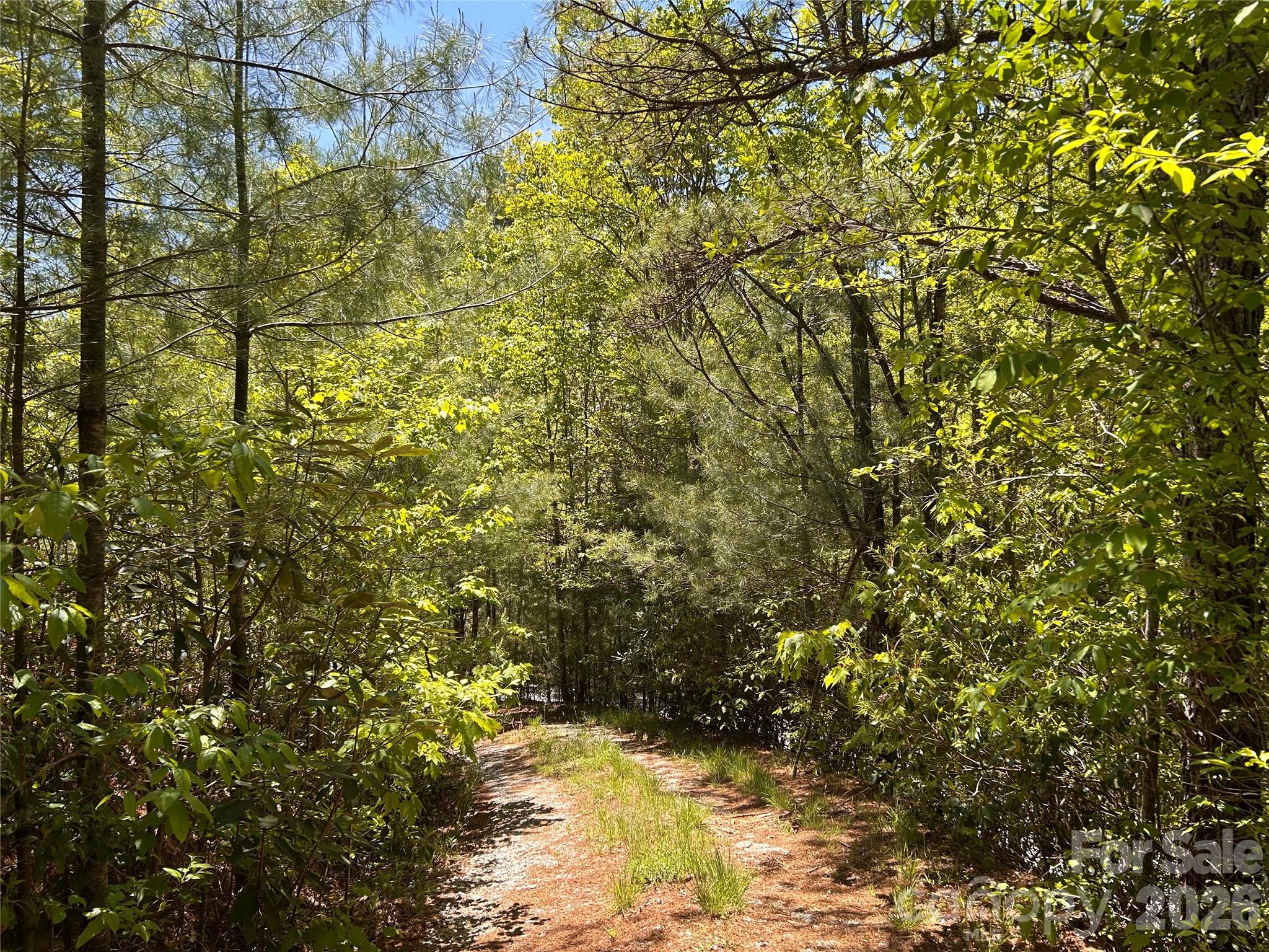 Lake Toxaway Estates - Land
