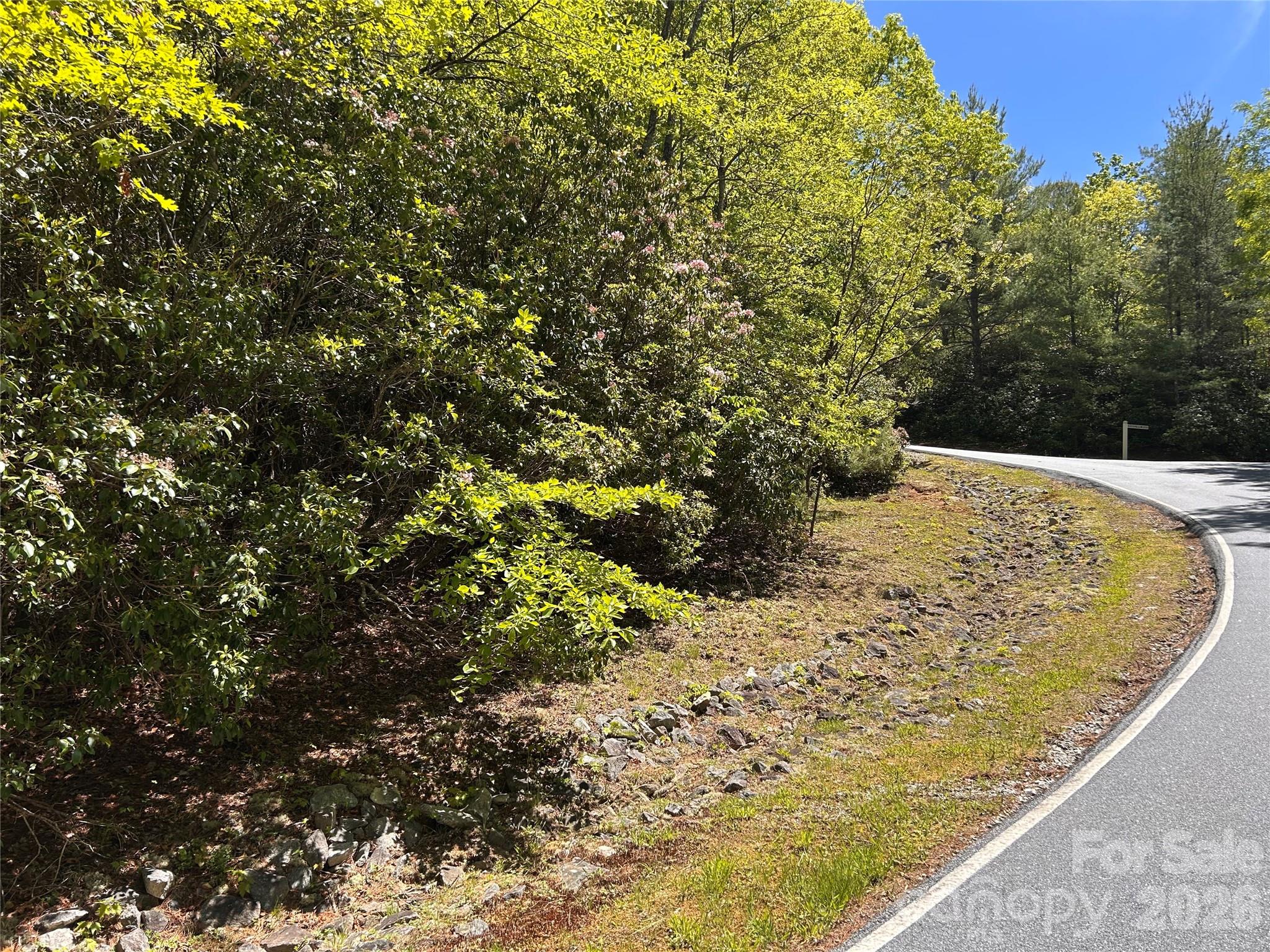 Lake Toxaway Estates - Land
