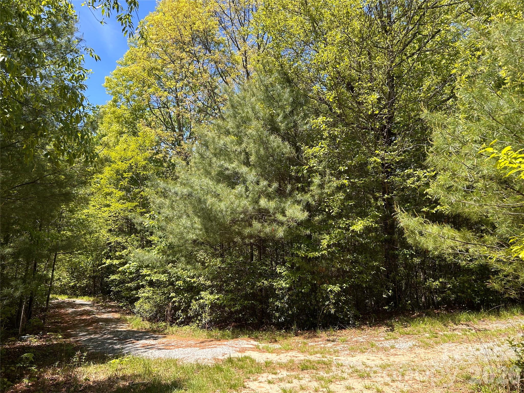 Lake Toxaway Estates - Land