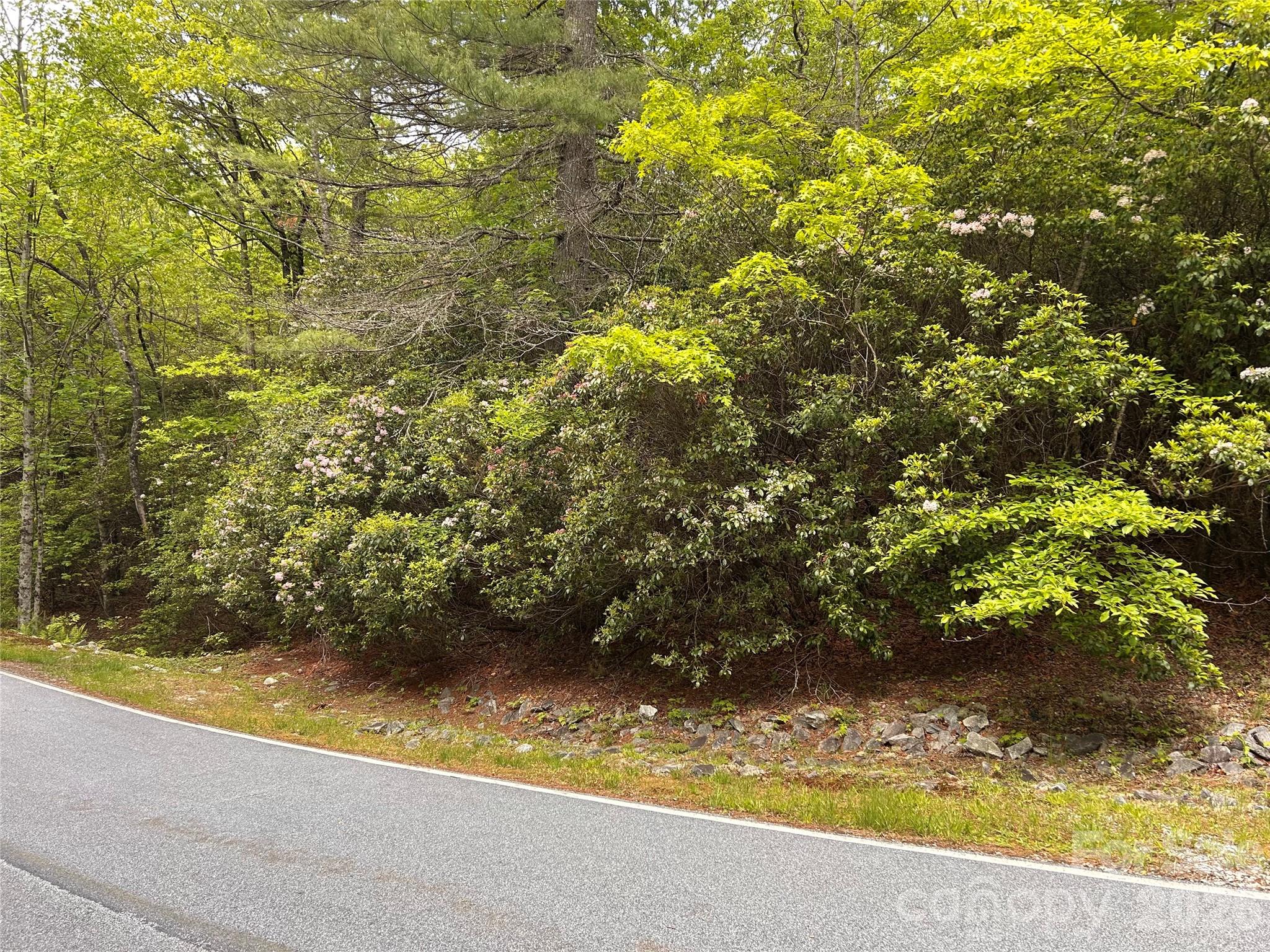 Lake Toxaway Estates - Land