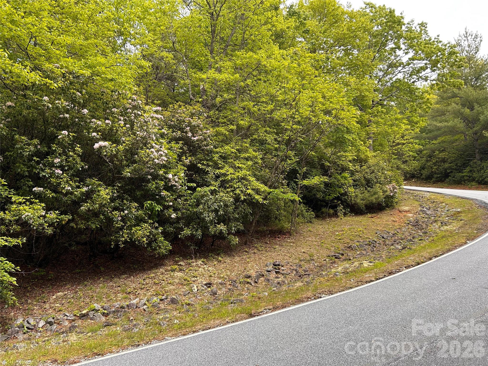 Lake Toxaway Estates - Land