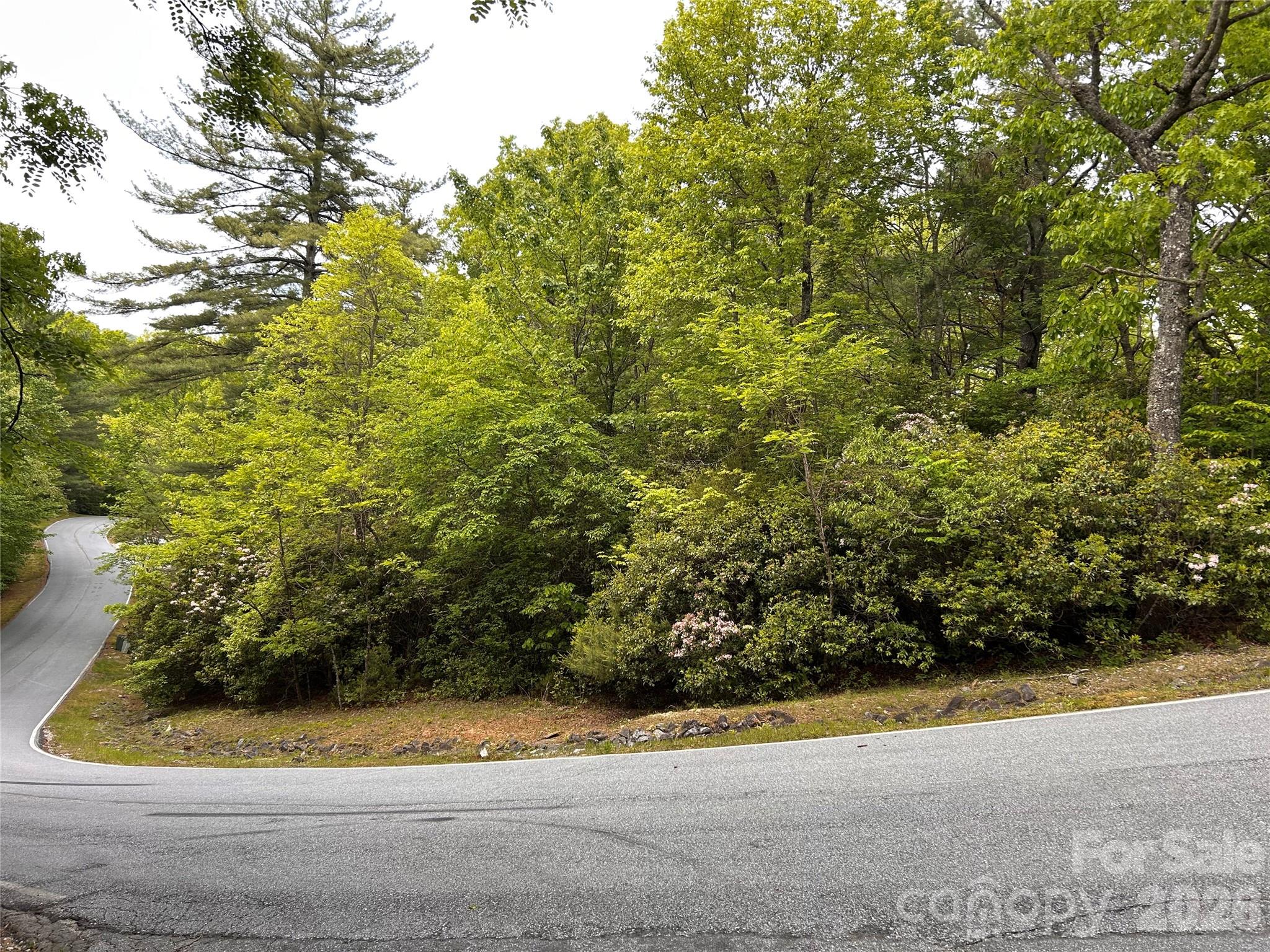 Lake Toxaway Estates - Land