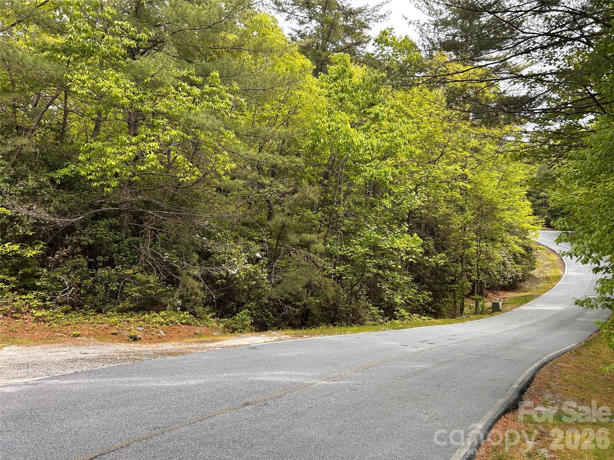 Build your mountain dream home in prestigious Lake Toxaway Estates on this exceptional homesite. Offering privacy, natural beauty, and outstanding potential, this property already has several valuable improvements in place to help jumpstart your vision. A 3-bedroom septic permit is secured and extended through August of 2032, providing added peace of mind and flexibility for future building plans. The property also features a roughed-in driveway and access to a community well, with approval and tap fee, conveniently located on-site.
