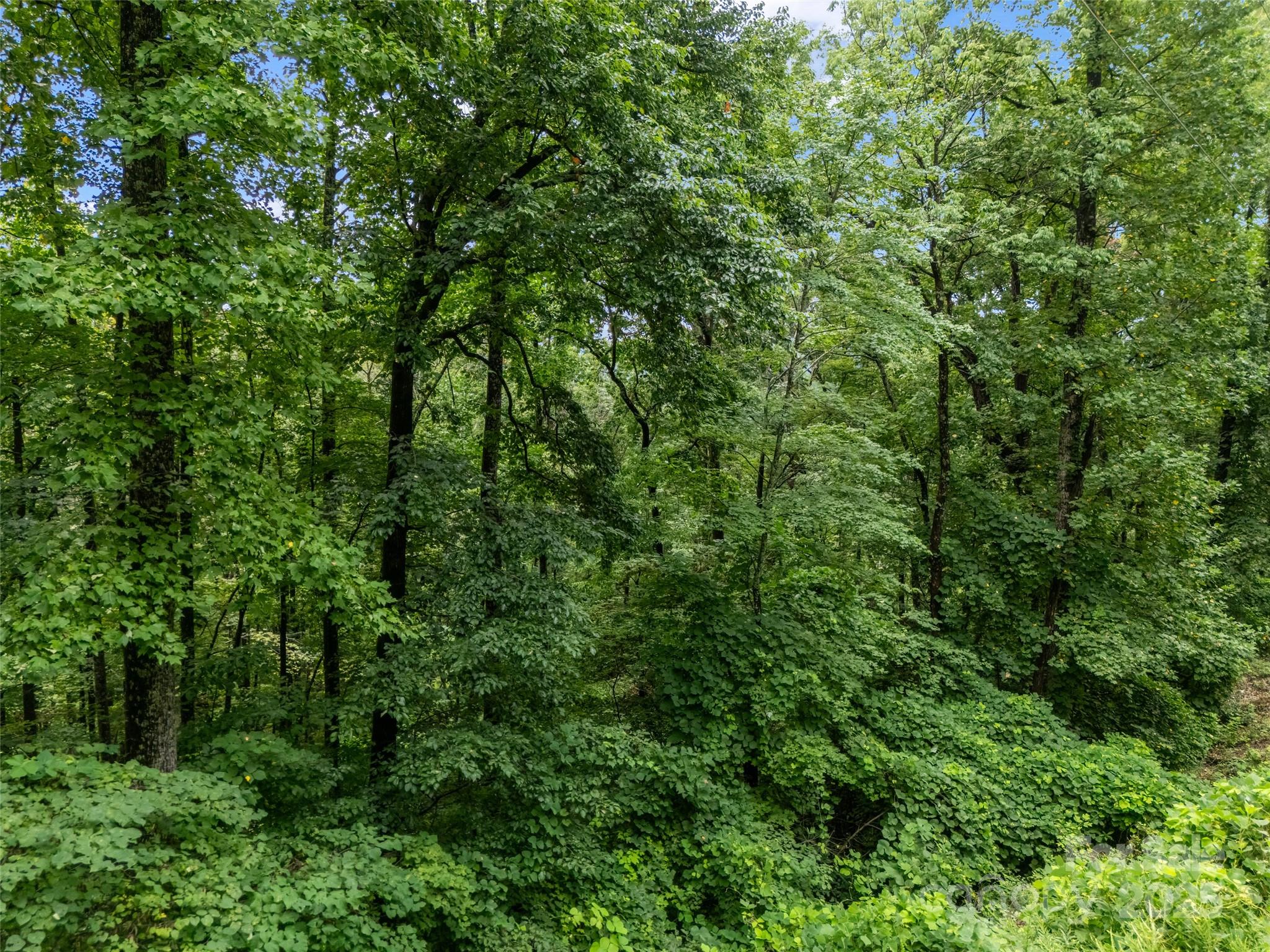 Riverbend Highlands - Land