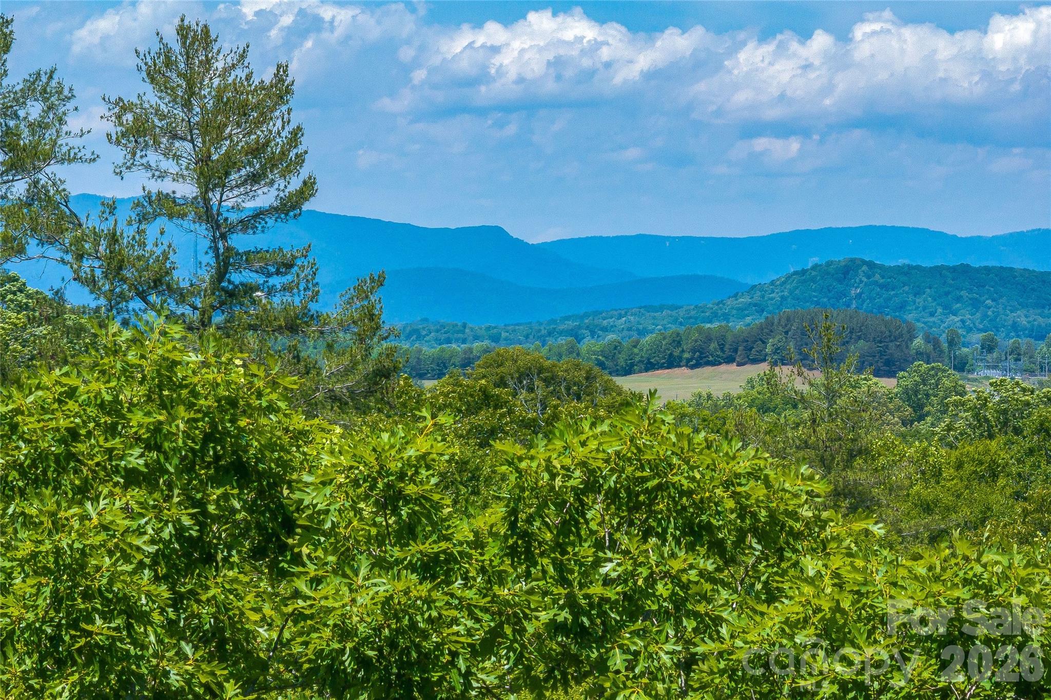 Ever dream of owning acreage with a beautiful creek and amazing views bordered by protected lands? This rare property consists of approximately 75 acres and is in Marion and a 40-minute drive to Asheville. This exceptional mountain tract borders Bobs Creek State Natural Area and North Carolina State Lands along two sides of the property. The property features incredible building sites with stunning layered long-range mountain views. Multiple creeks meander through the property, with the most prominent being Bobs Creek. Approximately 36.53 acres are within a conservation easement. The conservation easements are primarily surrounding creek riparian zones, leaving plenty of usable acreage for your vision. Conservation easement documents are available for review. Acreage is approximate and must be surveyed from larger tract before closing. Buyer is responsible for survey costs. Property has been priced accordingly. Access is via a 30-foot ROW from Fat Wall Road. Showings by appointment only. Preapproval or proof of funds must be provided with all showings.
