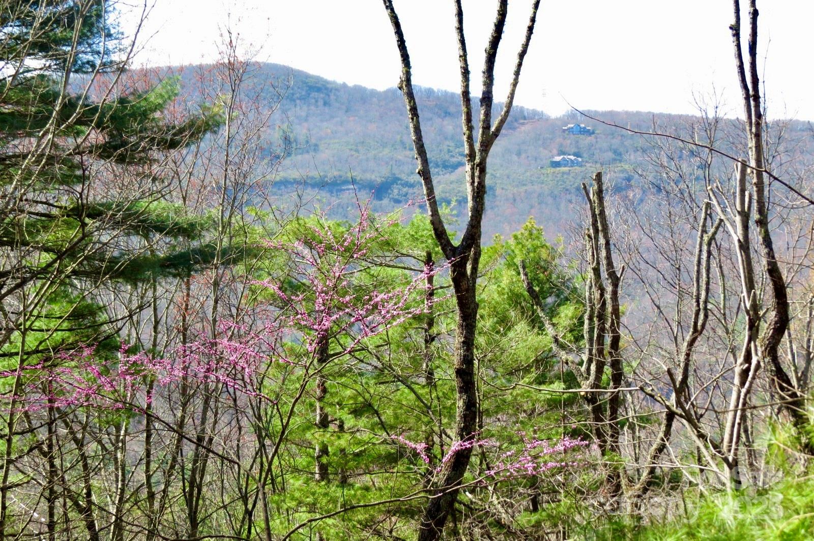 Lake Toxaway Estates - Residential