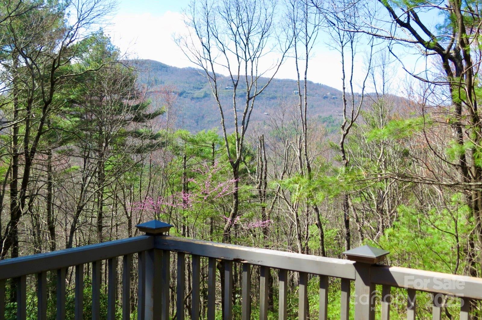 Lake Toxaway Estates - Residential