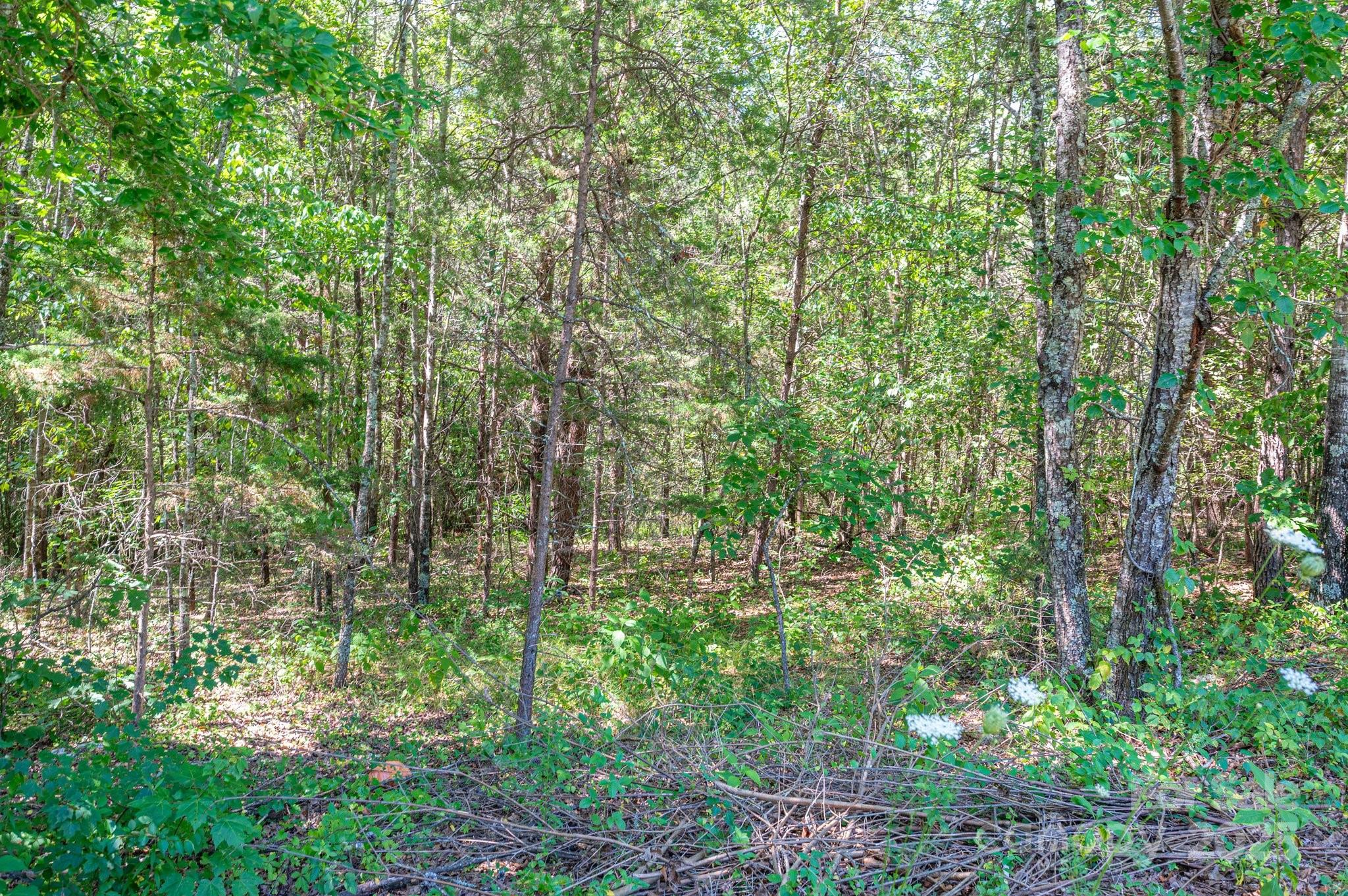 Westbrook Acres – Bring your own builder or ask about ours! This historically rich cul-de-sac community offers peaceful living just 5 min from downtown Rutherfordton, 4 min to R-S Central High, and 6 min to Rutherford Regional Health. Centrally located—only 20 min to Forest City, Tryon International Equestrian Center, and Cleghorn Golf & Sports Club, and within 1 hour of Asheville, Hendersonville, and Charlotte. Approx. 0.5 to 1+ acre wooded lots with city water and underground utilities. Septic needed. Located in the "Geo-thermal Belt" for a mild year-round climate—perfect for walking the Purple Martin Trail or enjoying local festivals, concerts, camping, and equestrian events.