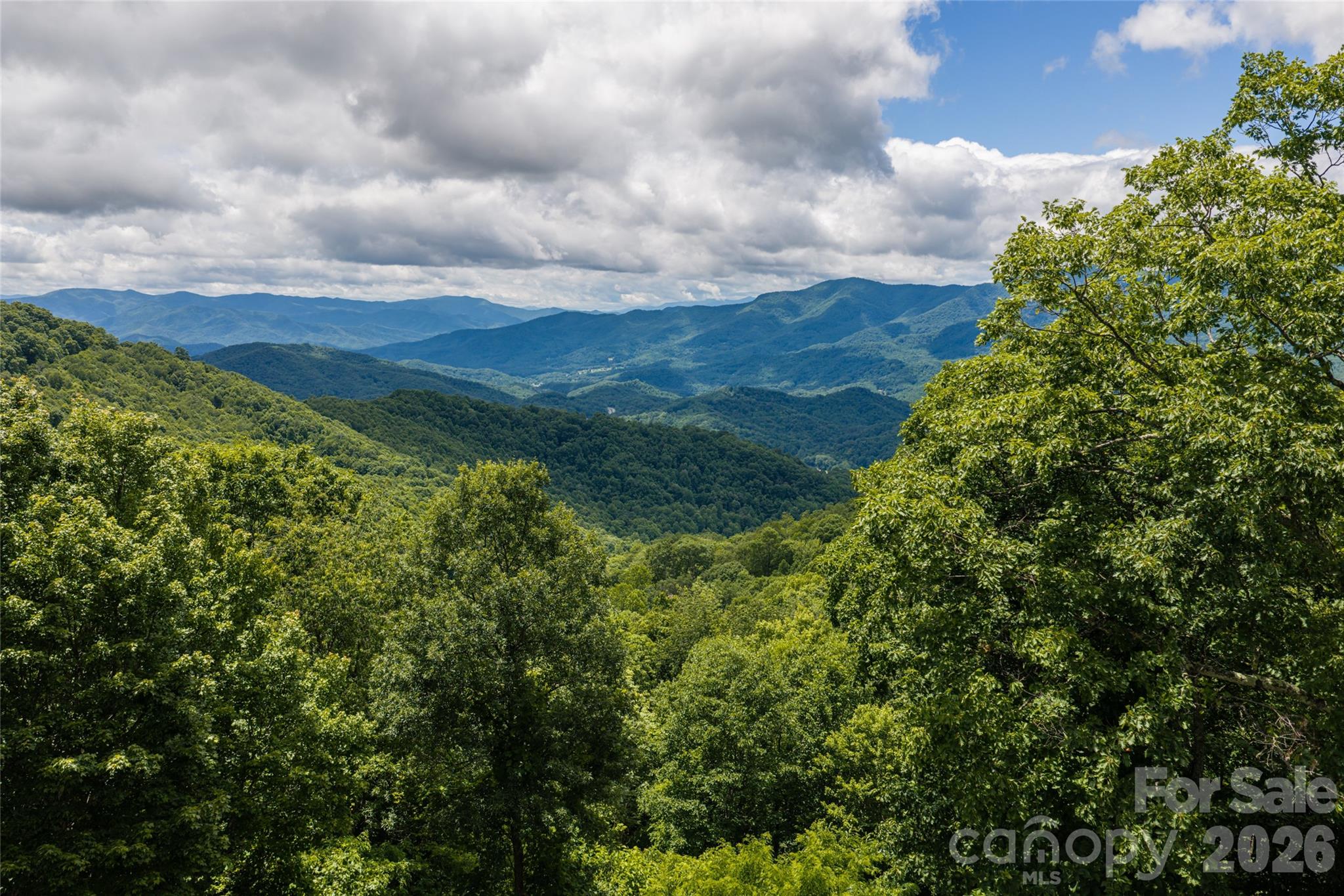 Balsam Mountain Preserve - Residential