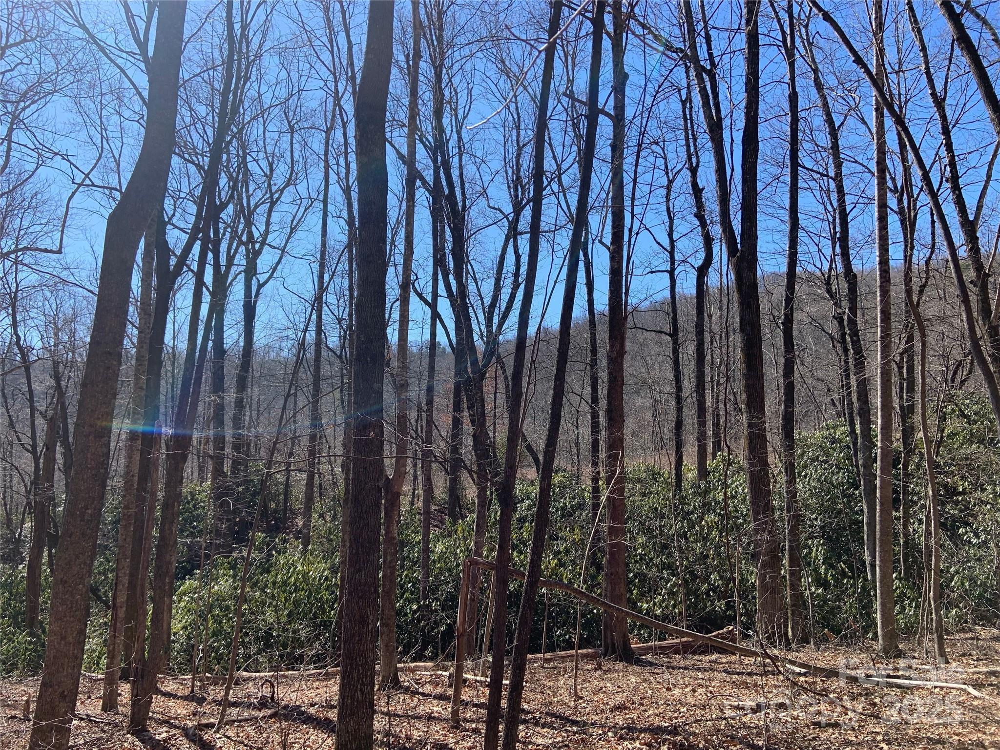Grey Rock at Lake Lure - Land