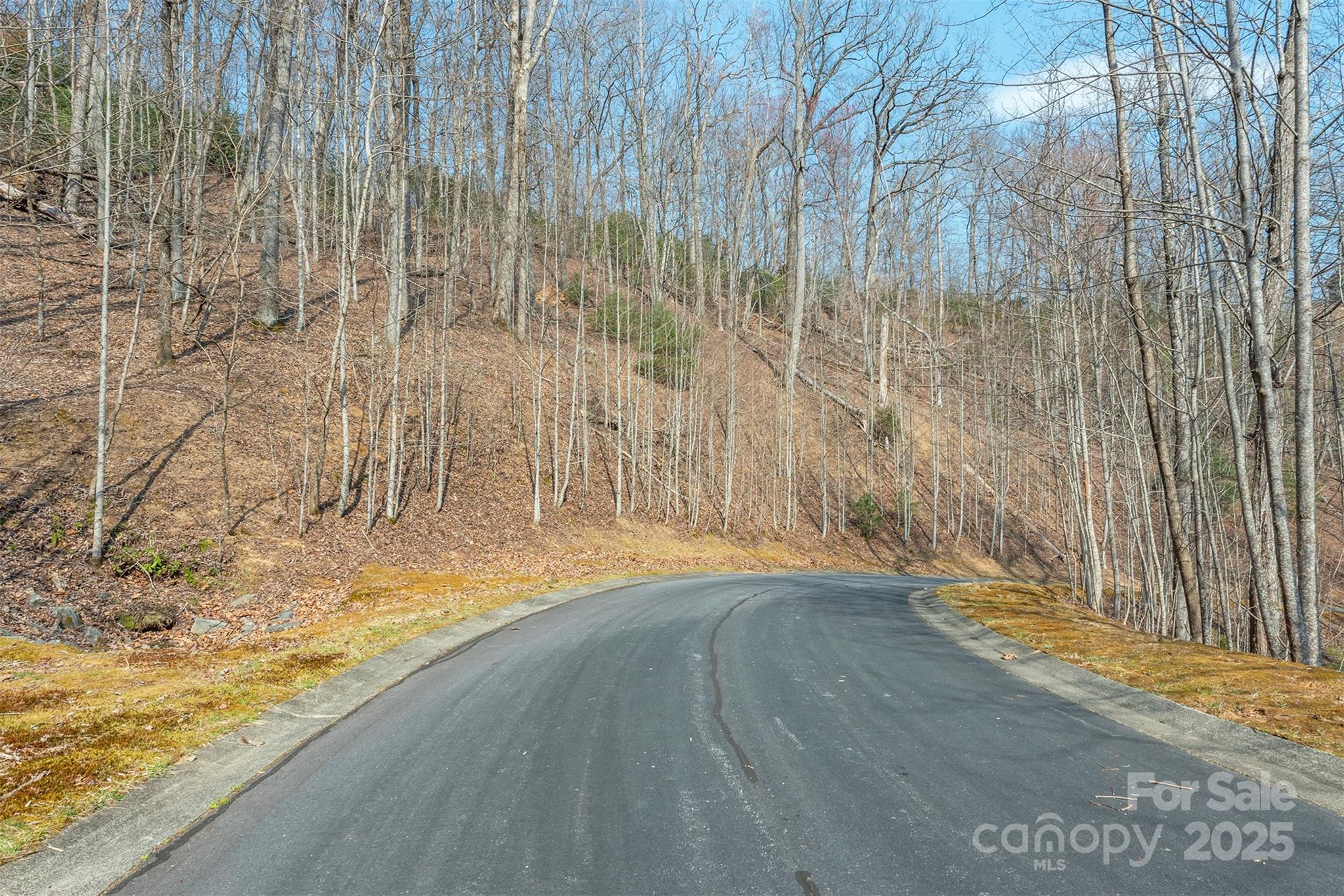 You must see this lot with potential views upon which to build your dream home.  Beautiful gated subdivision. Rhododendron and Mountain Laurel galore. Paved roads with beautiful wooded areas along the way. Storm sewers already in place. Underground utilities and natural gas are available. Club house is remote on 10+ acres along Mills River. Great for events, camping, barbecuing and fishing. Convenience is awesome being just approximately 5 minutes from Ingles Supermarket and a new Publix under construction, 10 minutes to Sierra Nevada Brewery, 15 minutes to the airport , 25 minutes to Hendersonville and Brevard and about 35 minutes to Downtown Asheville. Build your dream home in this mountain paradise. The Mills River area offers some of the finest trout streams, camping, hiking and mountain biking in the WNC area.