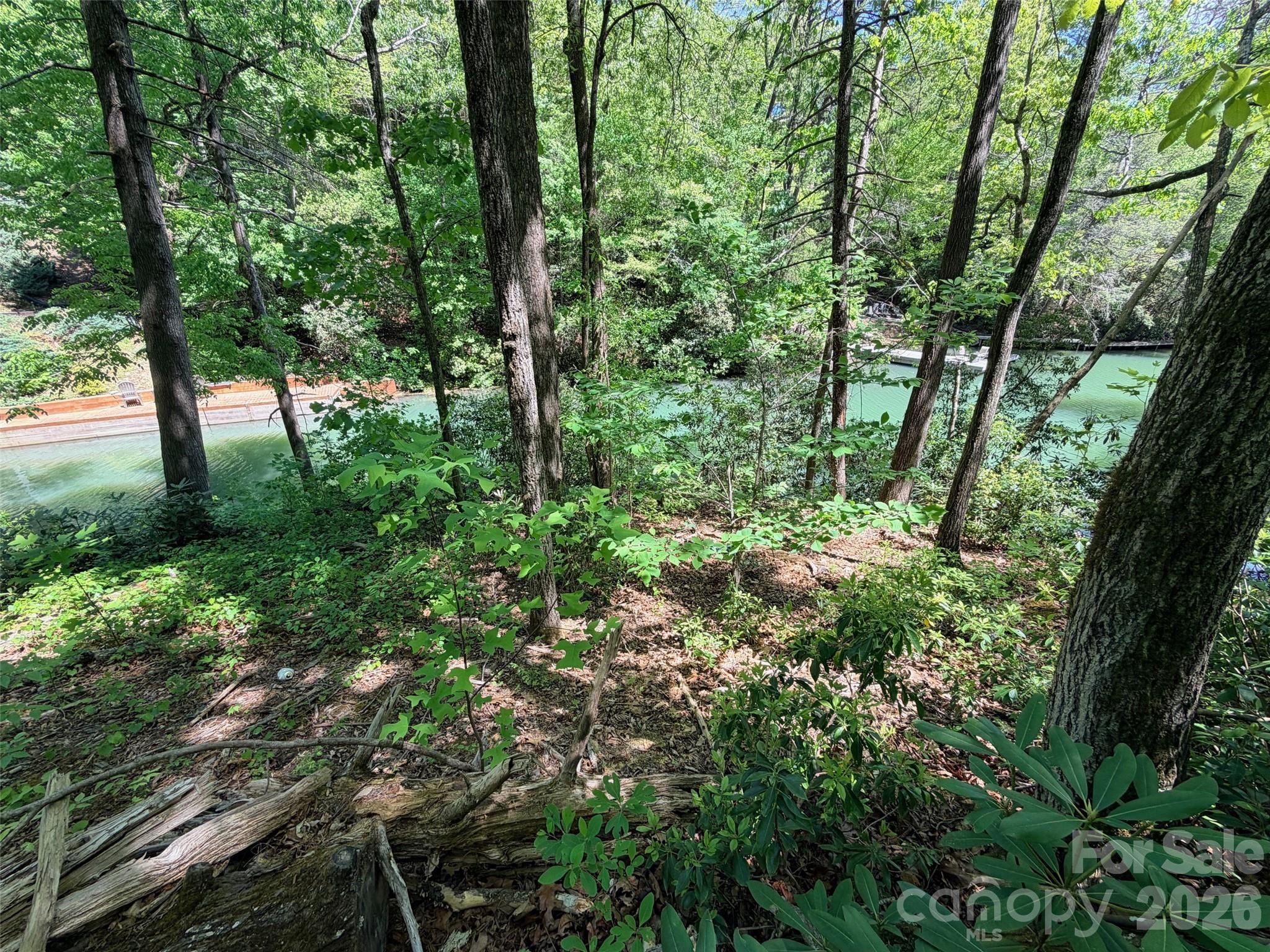 Rumbling Bald on Lake Lure - Land