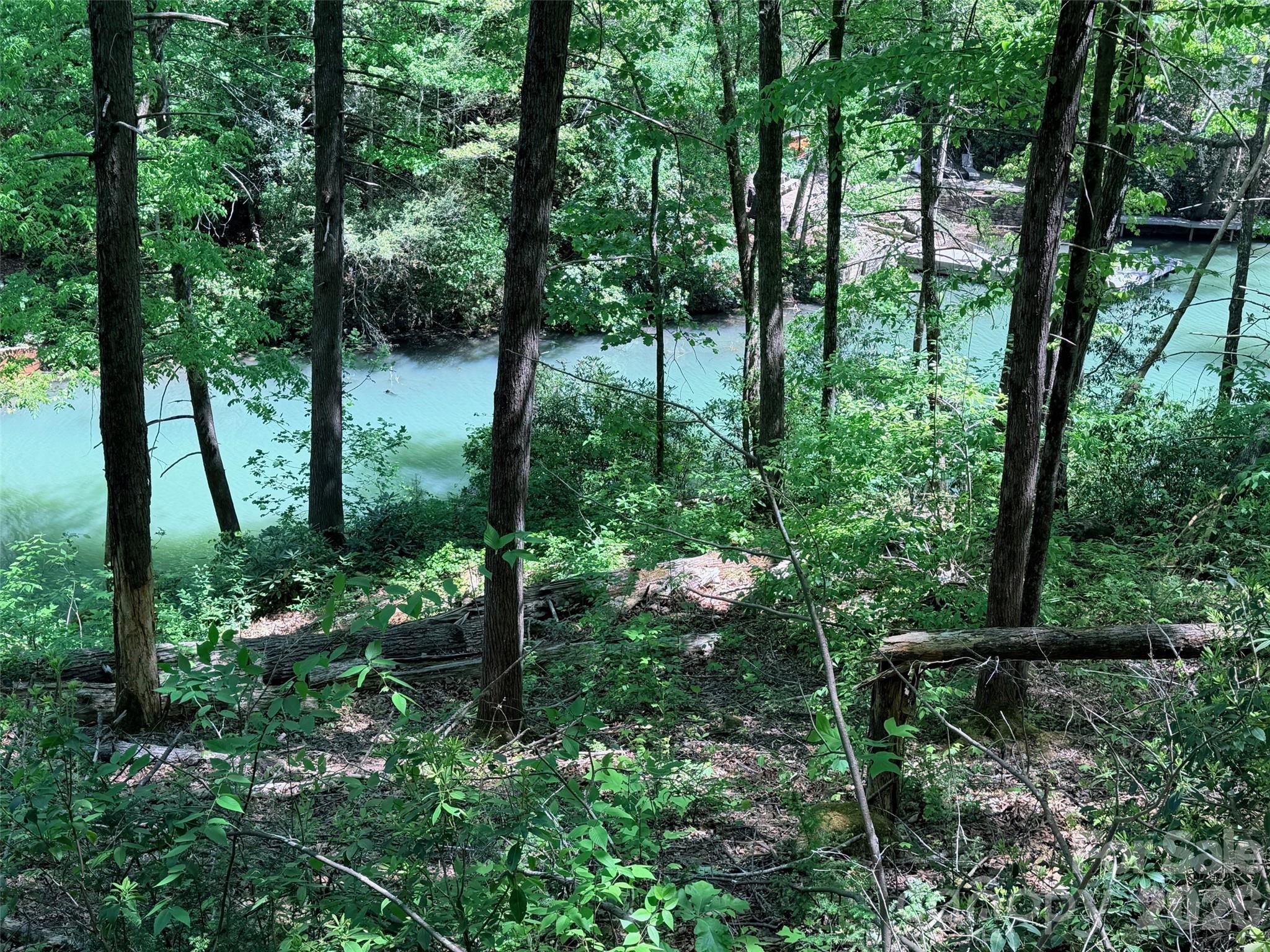 LAKE LURE'S BEST BUY! LAKEFRONT LOT.......3.64 acre lakefront lot with approximately 150 feet of lakefront on beautiful Lake Lure. This beautiful lot has a park-like setting with large boulders, waterfall and yet lays nice along the lakefront......although it's a small hike down to the water from the driveway area. Bring your hiking shoes and come see why this is Lake Lure's best buy at only $339,000........or best offer! Located in Rumbling Bald Resort@Lake Lure. Annual HOA dues are $3,911 and there is a one-time transfer fee of $1,100. This is a Great Investment Opportunity!!
