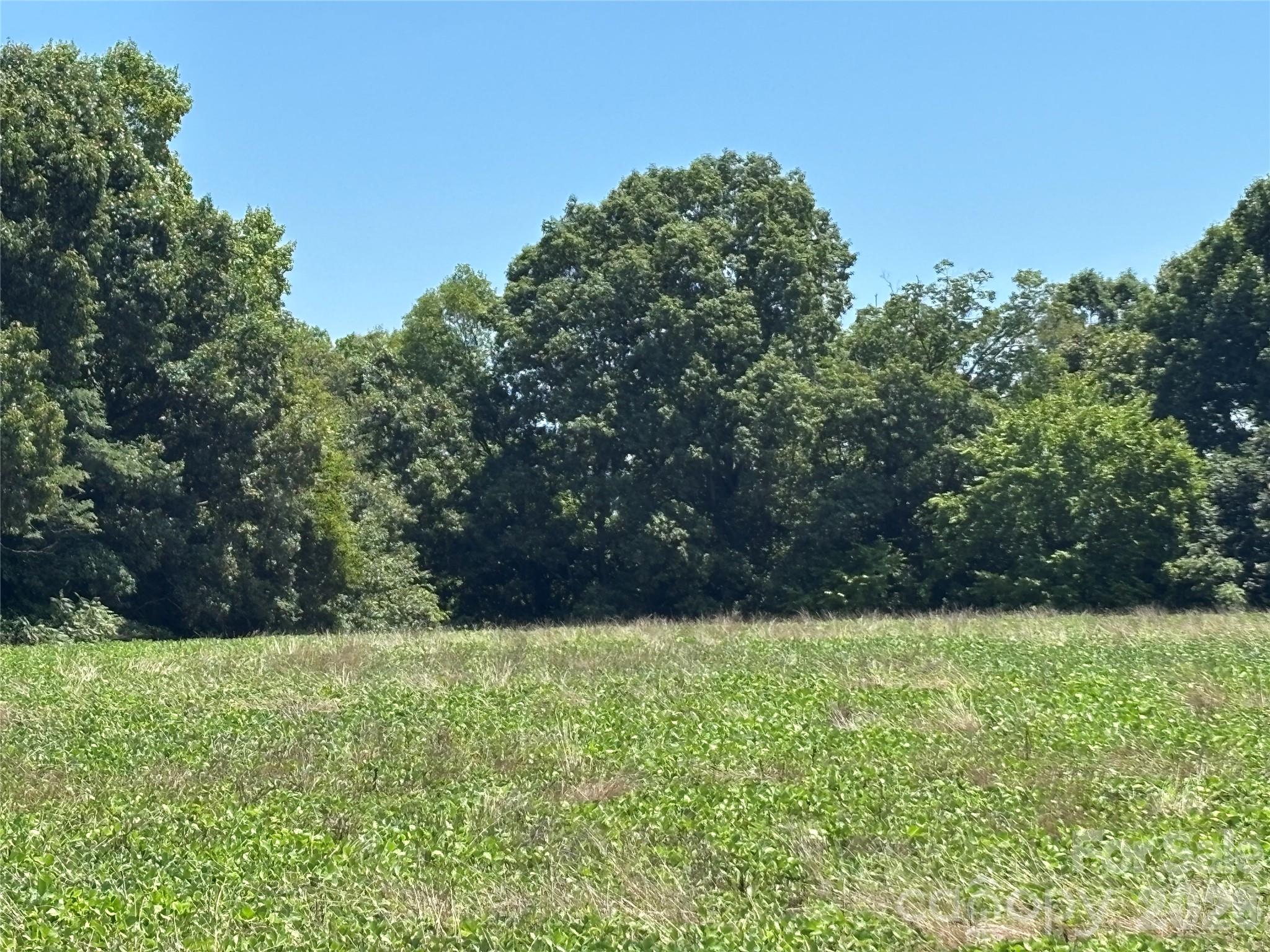 Discover the possibilities with this untouched, beautiful 1-acre parcel that has been in the family since the 1970's. Whether you're dreaming of a site-built home, a manufactured home, or a duplex(subject to applicable requirements), this versatile property offers plenty of potential. Located in a peaceful rural setting and zoned RA, you'll have room to enjoy country living and bring your farm animals. A Perc test will be required by the buyer to determine septic suitability. Don't miss this opportunity to build your vision in the heart of the countryside! Again, all this is subject to perc test results.