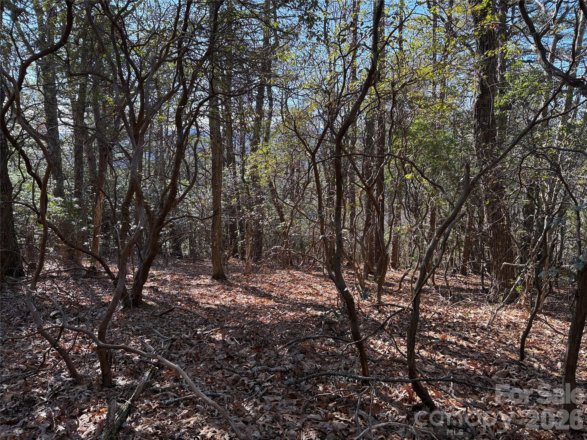 Buck Mountain - Land