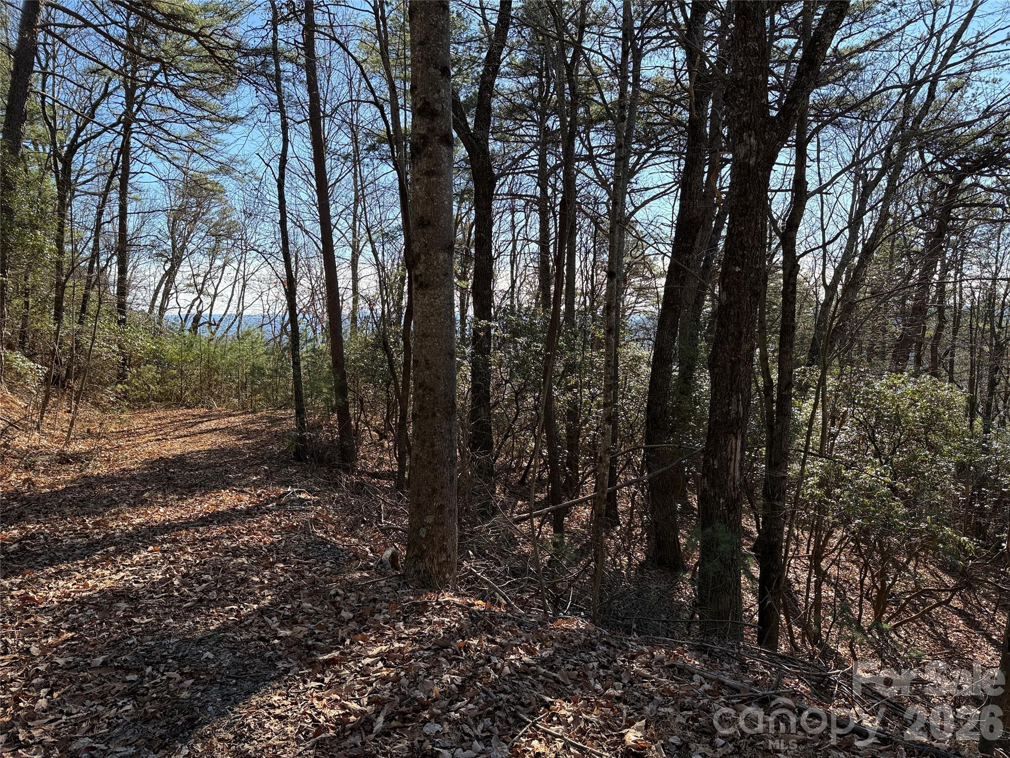 Buck Mountain - Land