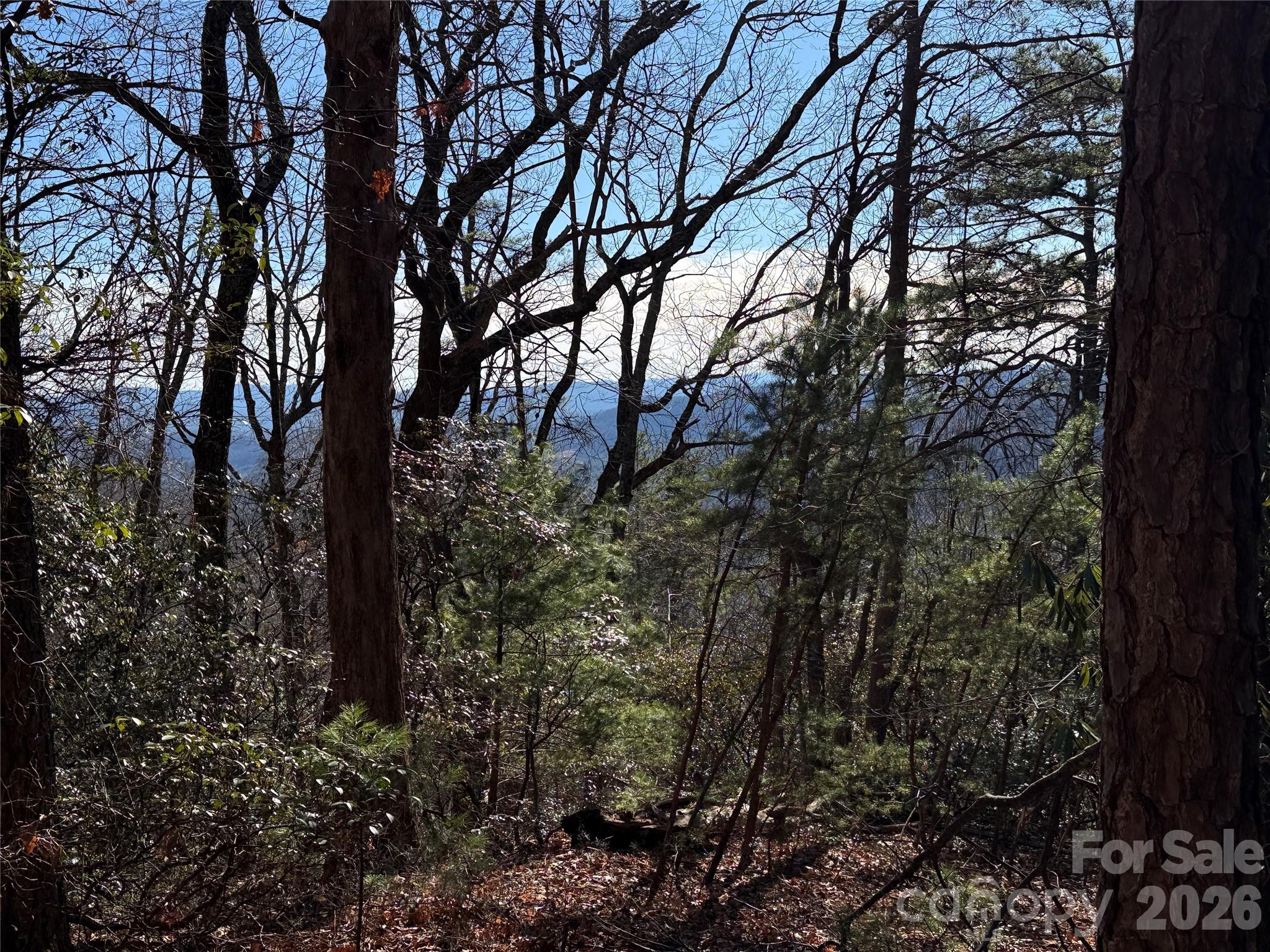 Buck Mountain - Land