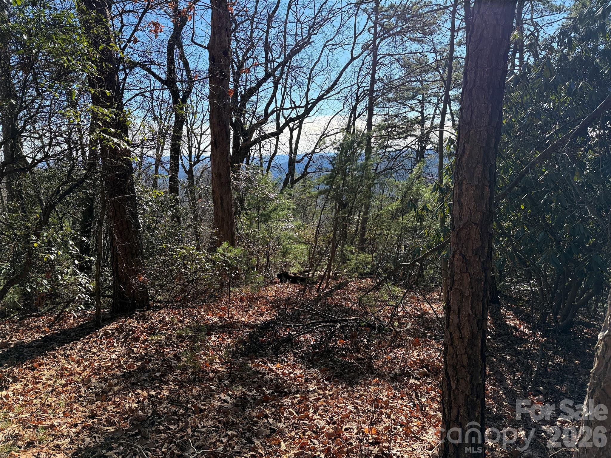 Buck Mountain - Land