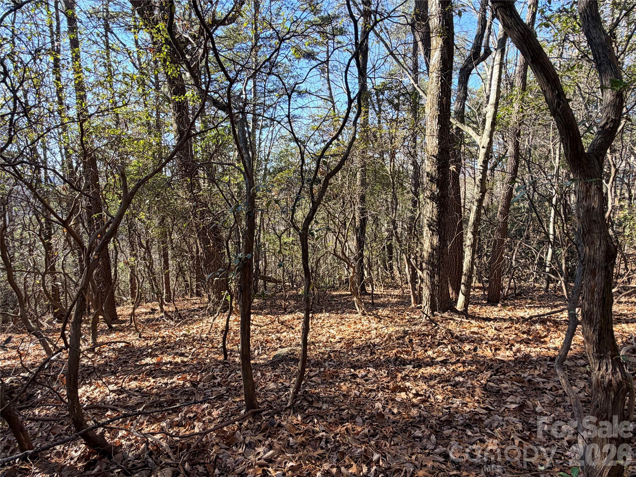 Buck Mountain - Land