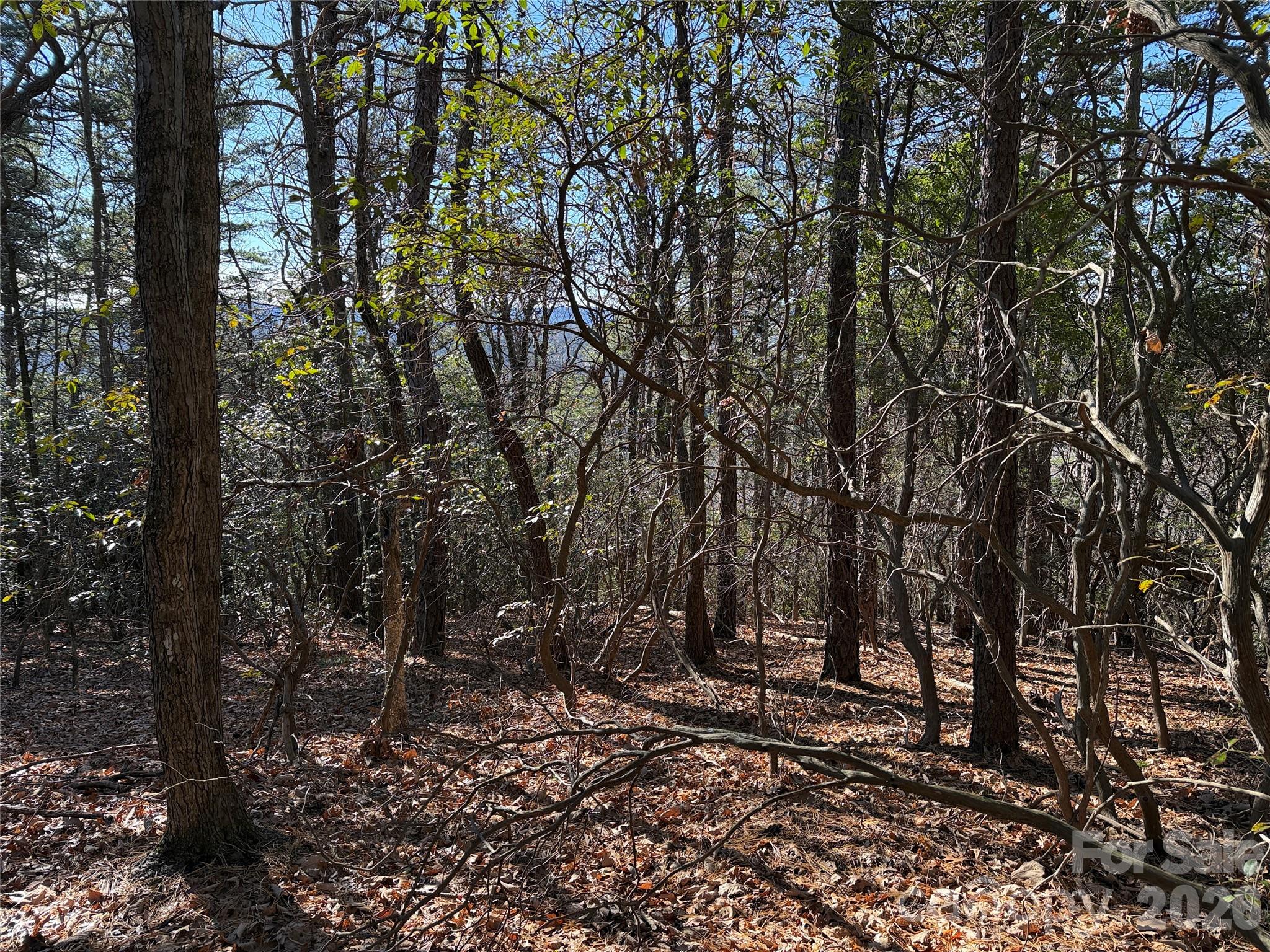 Buck Mountain - Land