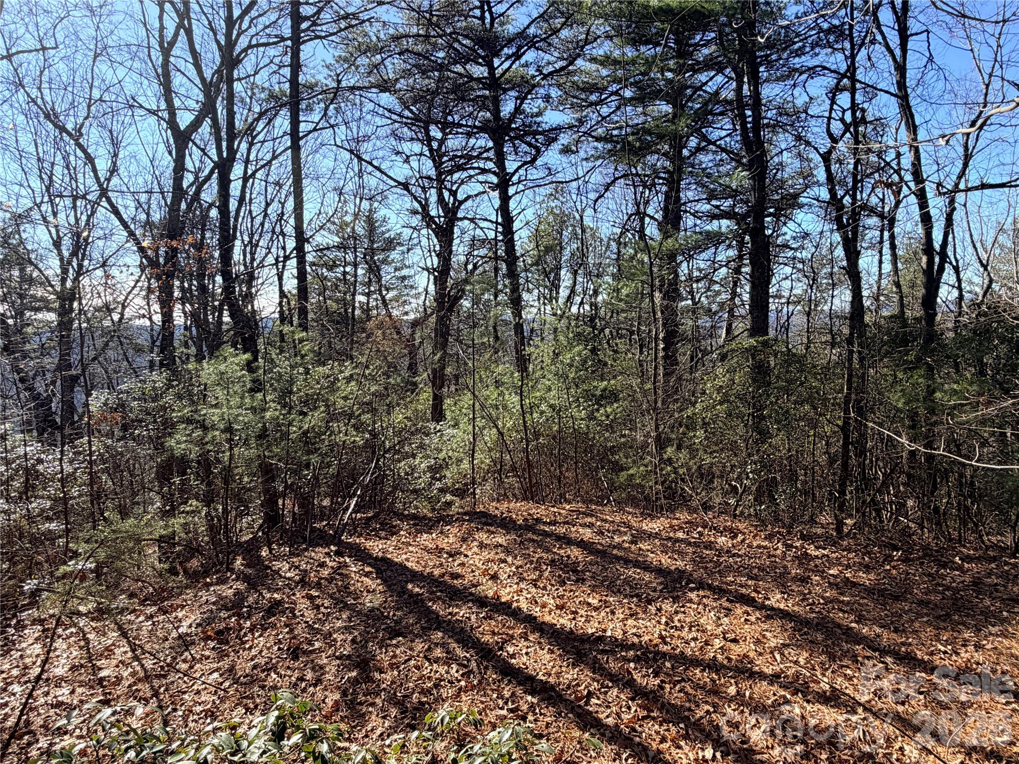 Buck Mountain - Land