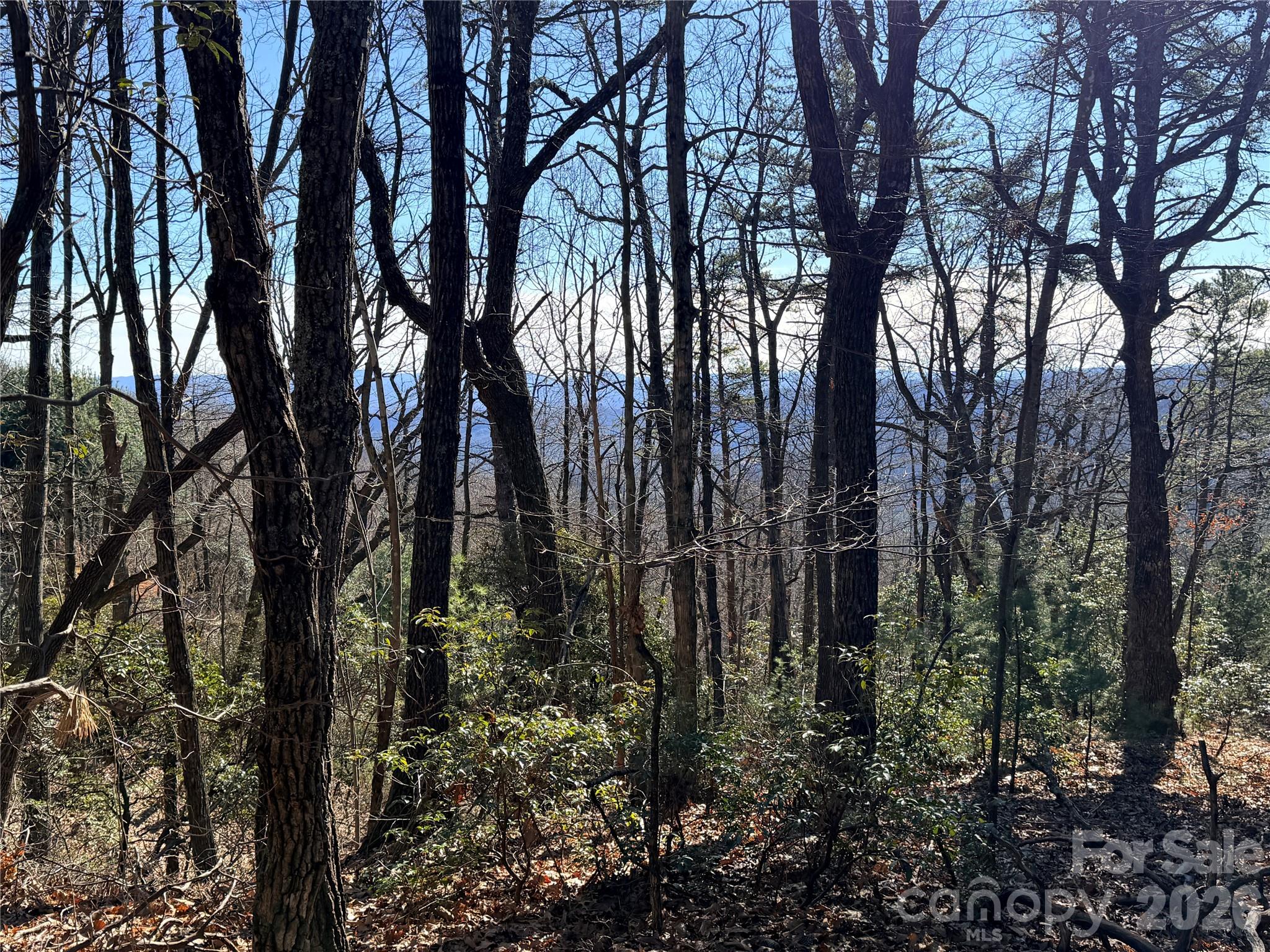 Buck Mountain - Land
