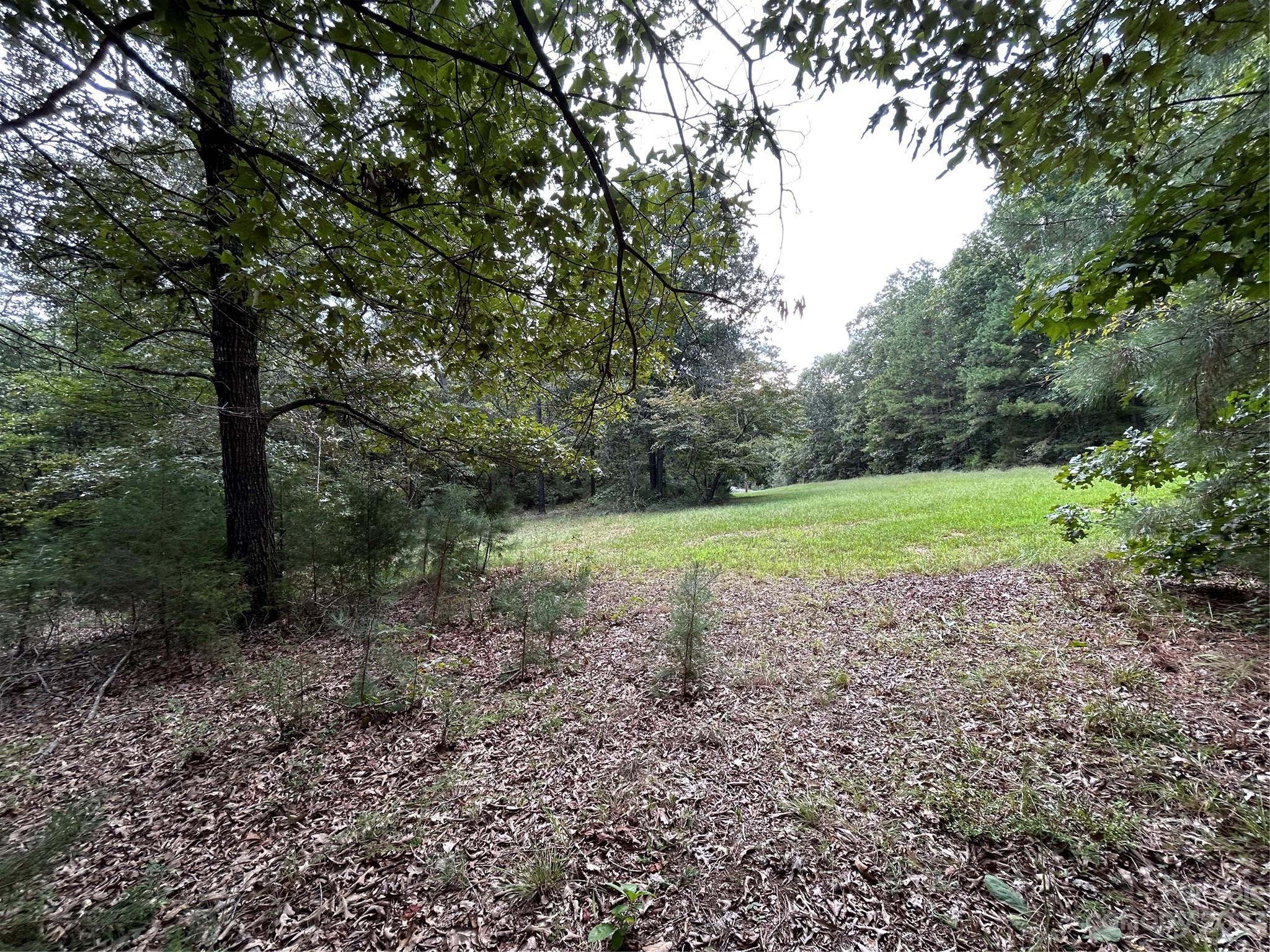 Wesley Woods - Land