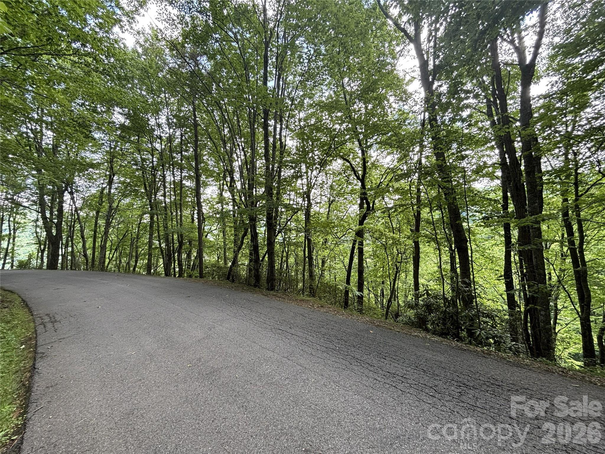 Big Springs Cove Estates - Land