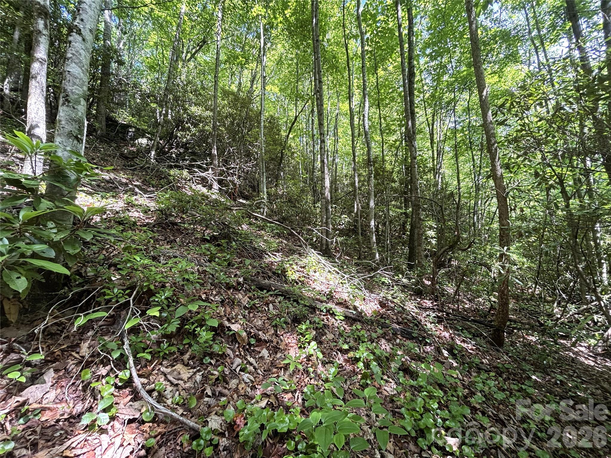 Big Springs Cove Estates - Land