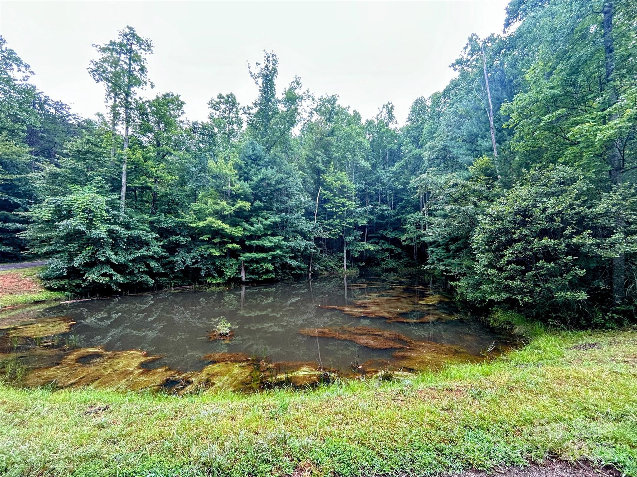 Little Warrior Mtn Estates - Land