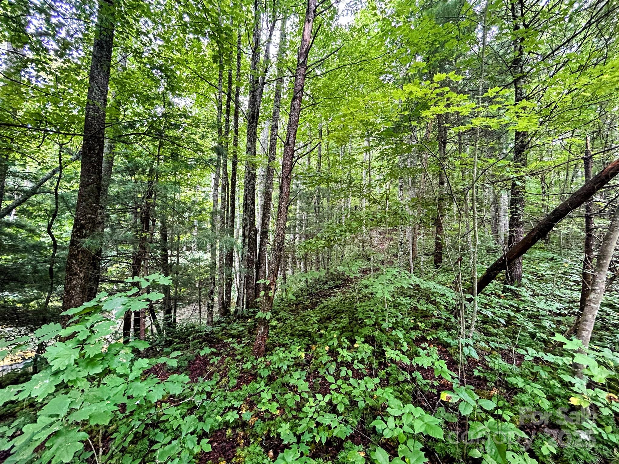 Little Warrior Mtn Estates - Land