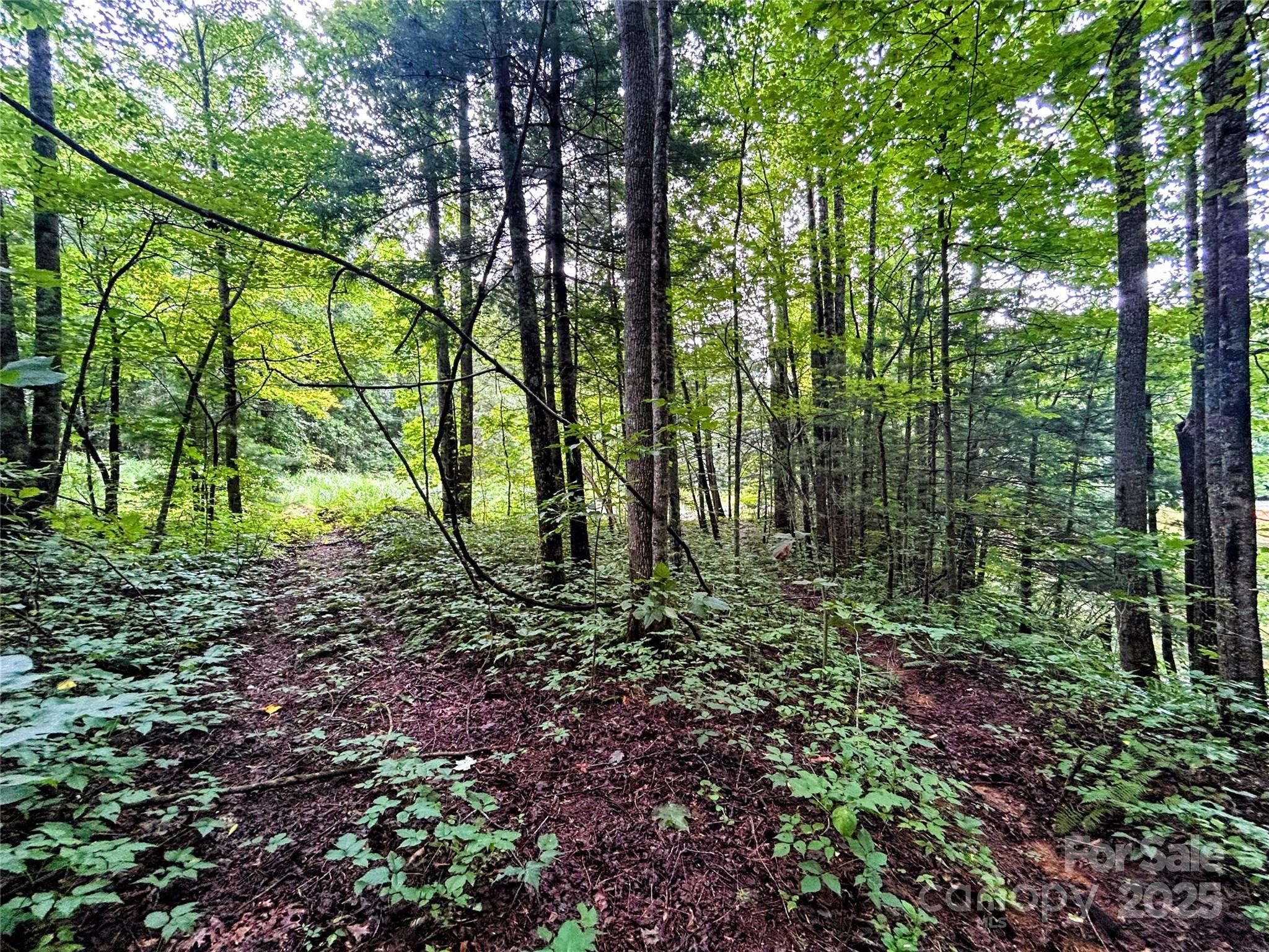 Little Warrior Mtn Estates - Land